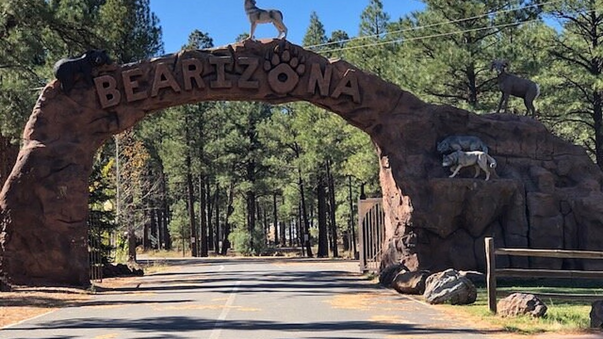 Bearizona Wildlife Park — photo 1