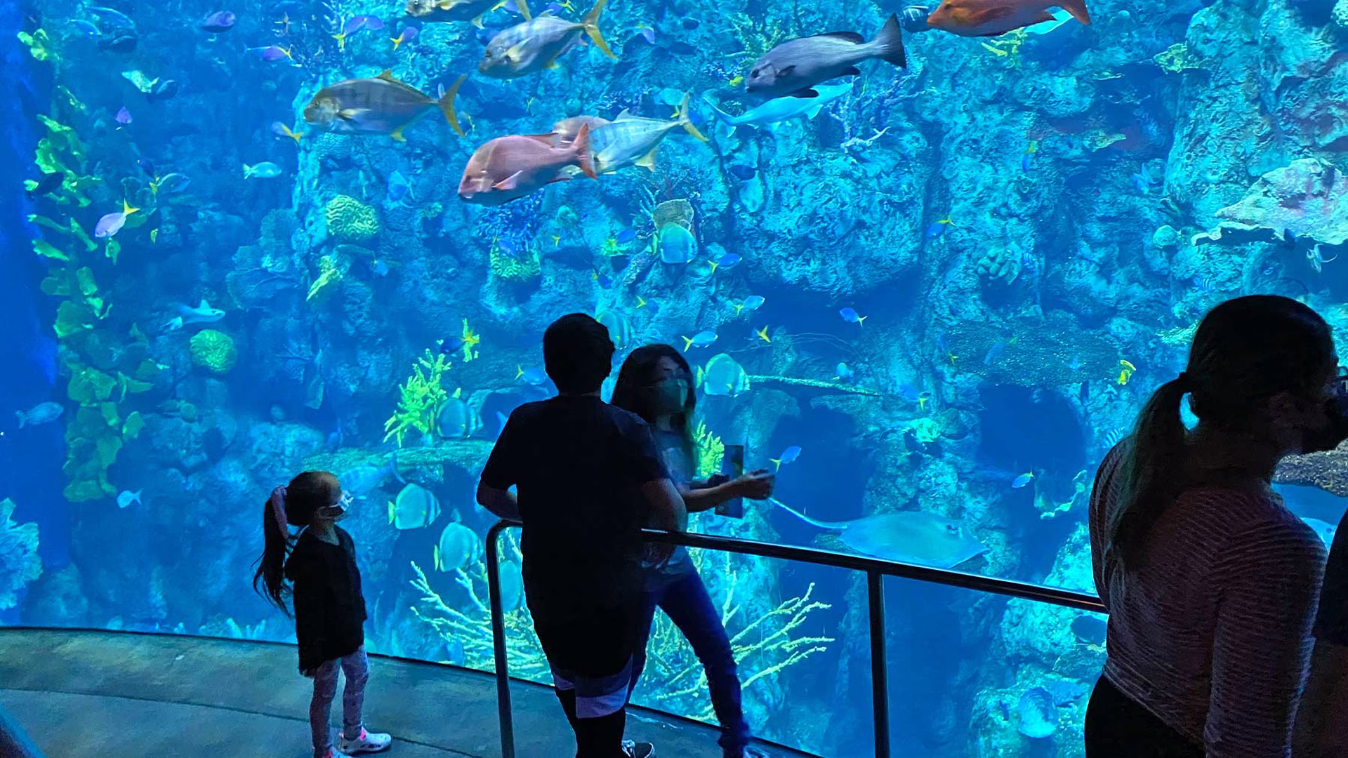 Aquarium of the Pacific — photo 1