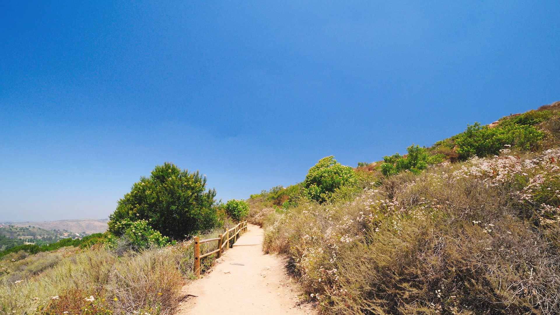 Cowles Mountain — photo 2