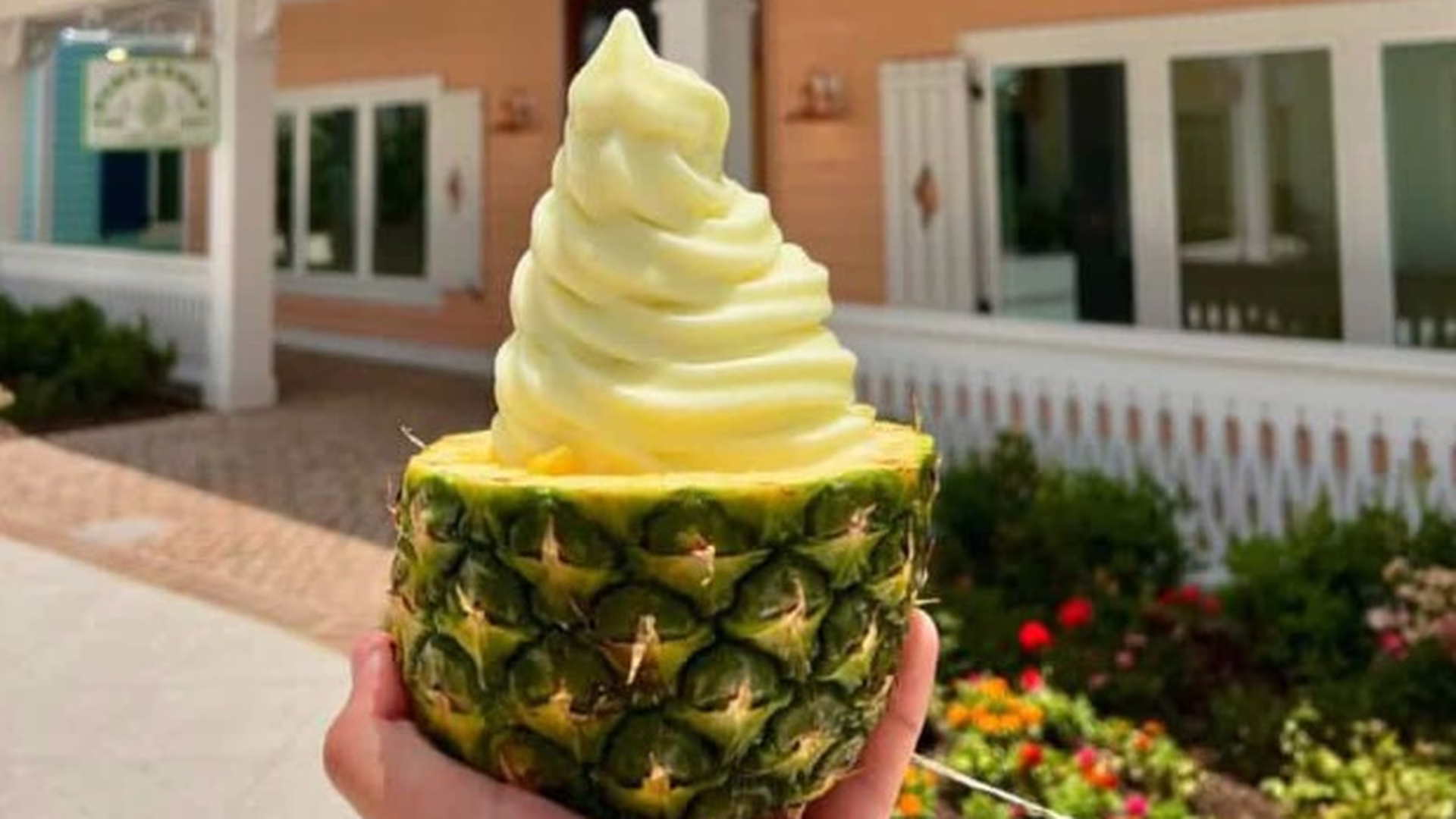 The Pineapple Hut (Myrtle Beach) — photo 1
