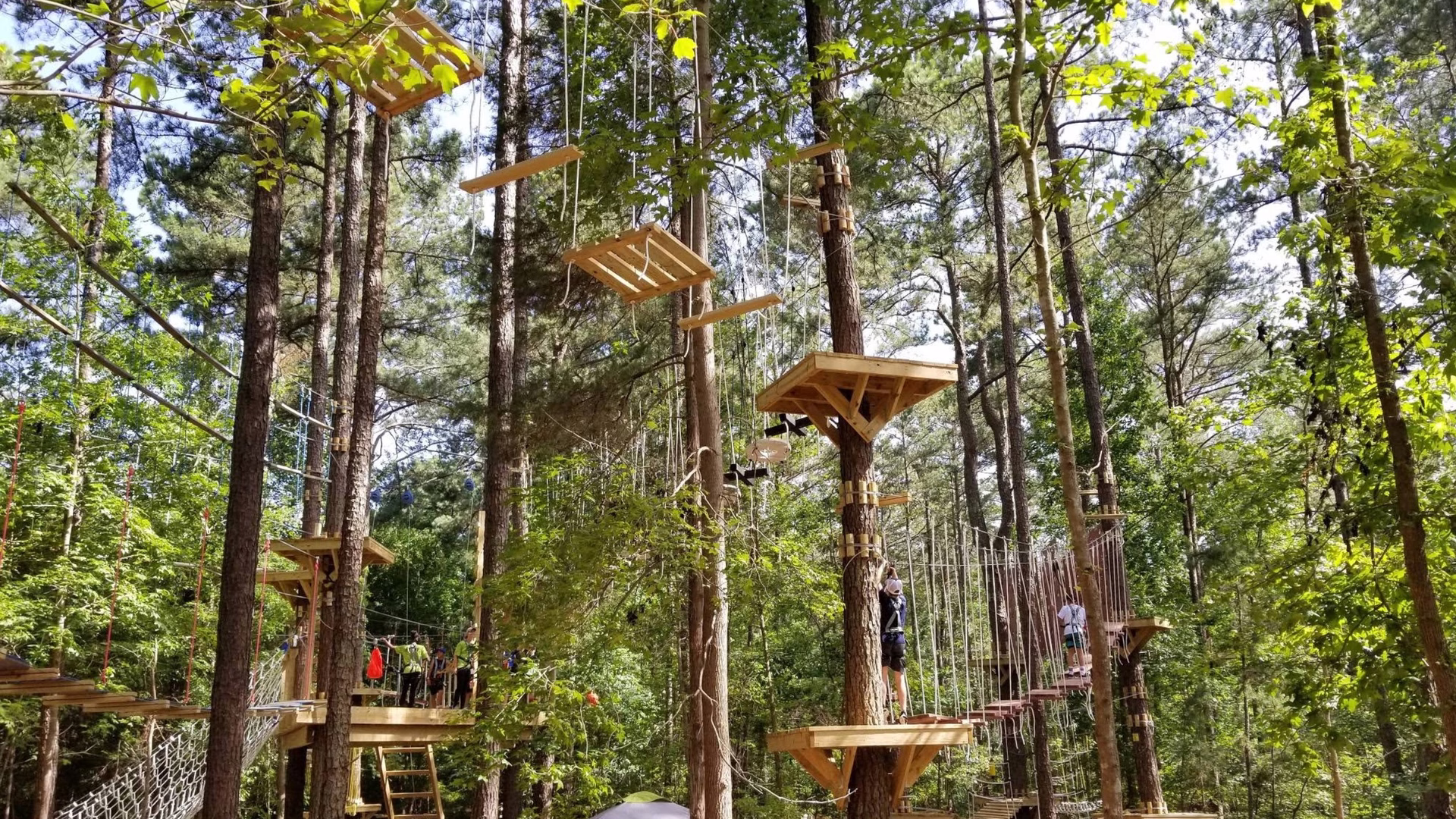 TreeRunner Raleigh Adventure Park & Putt Forest — photo 2