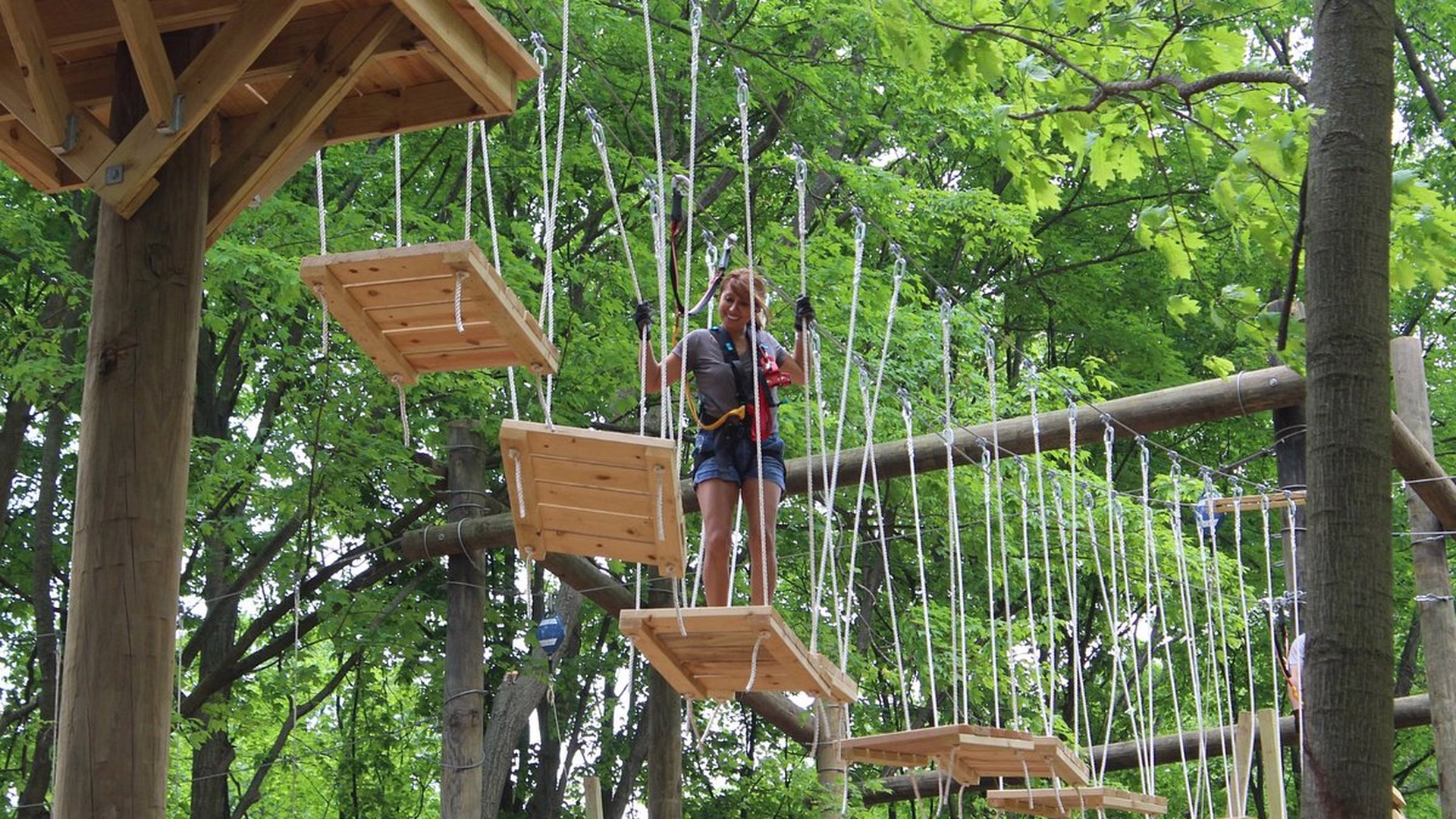 TreeRunner Raleigh Adventure Park & Putt Forest — photo 1