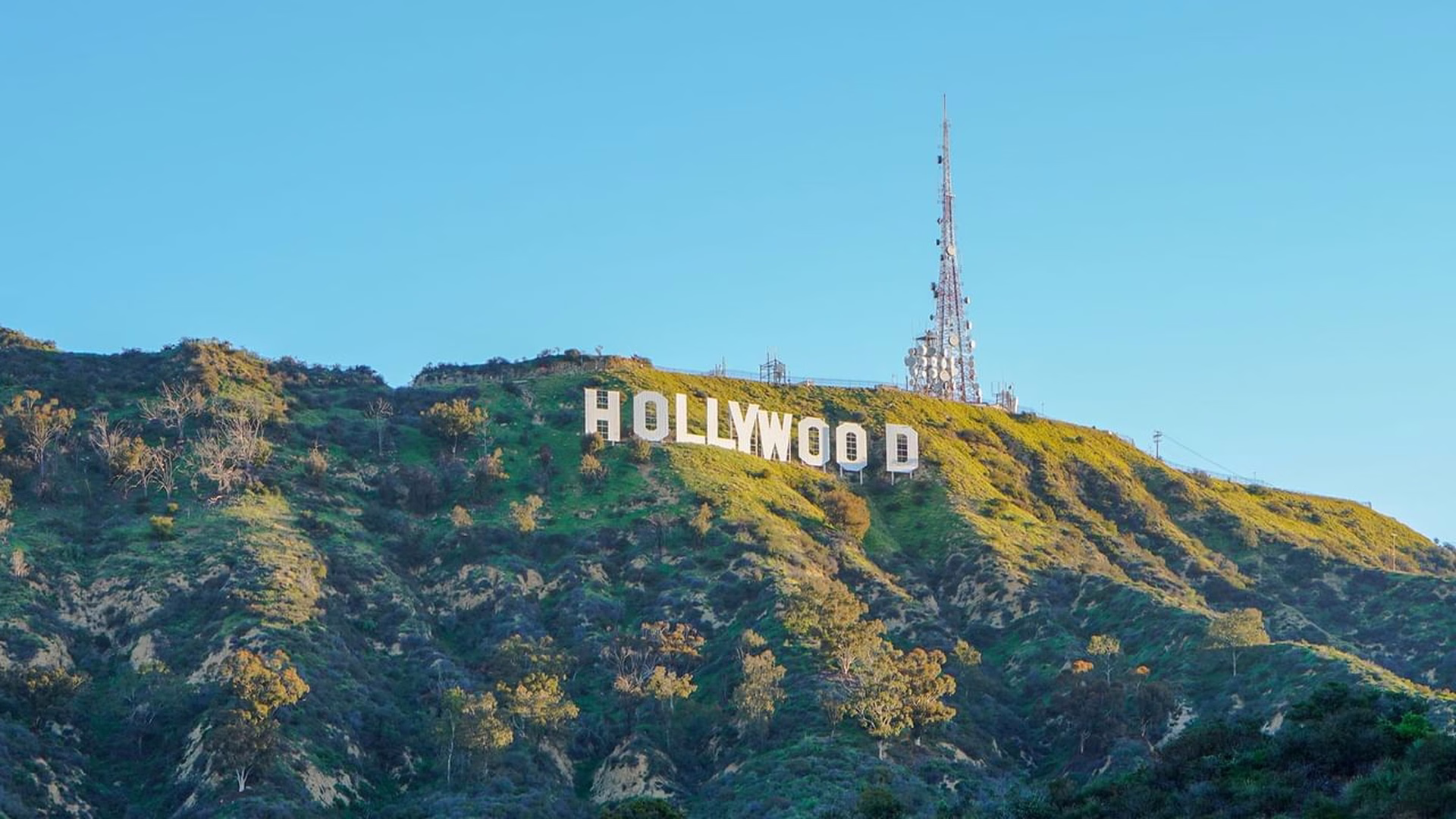 Hollywood Sign — photo 1