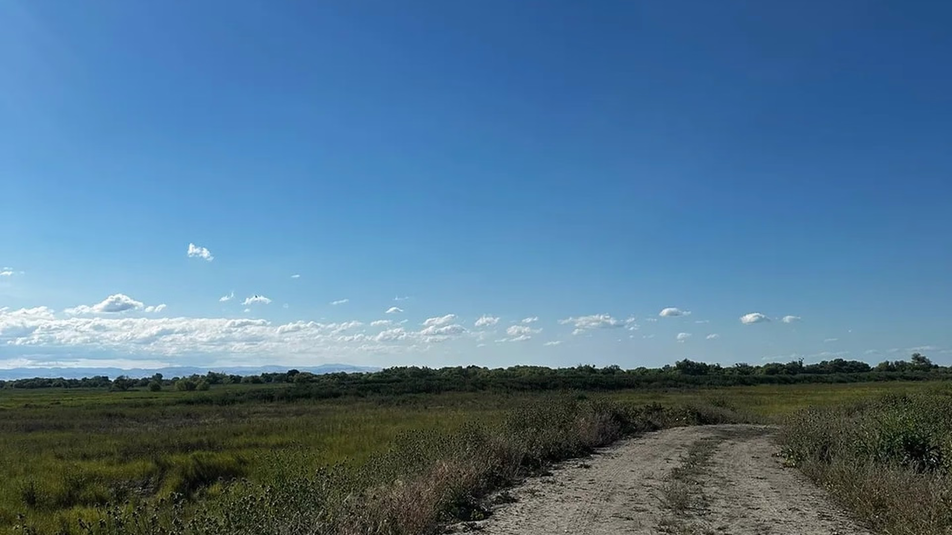 Great Valley Grasslands State Park — photo 2