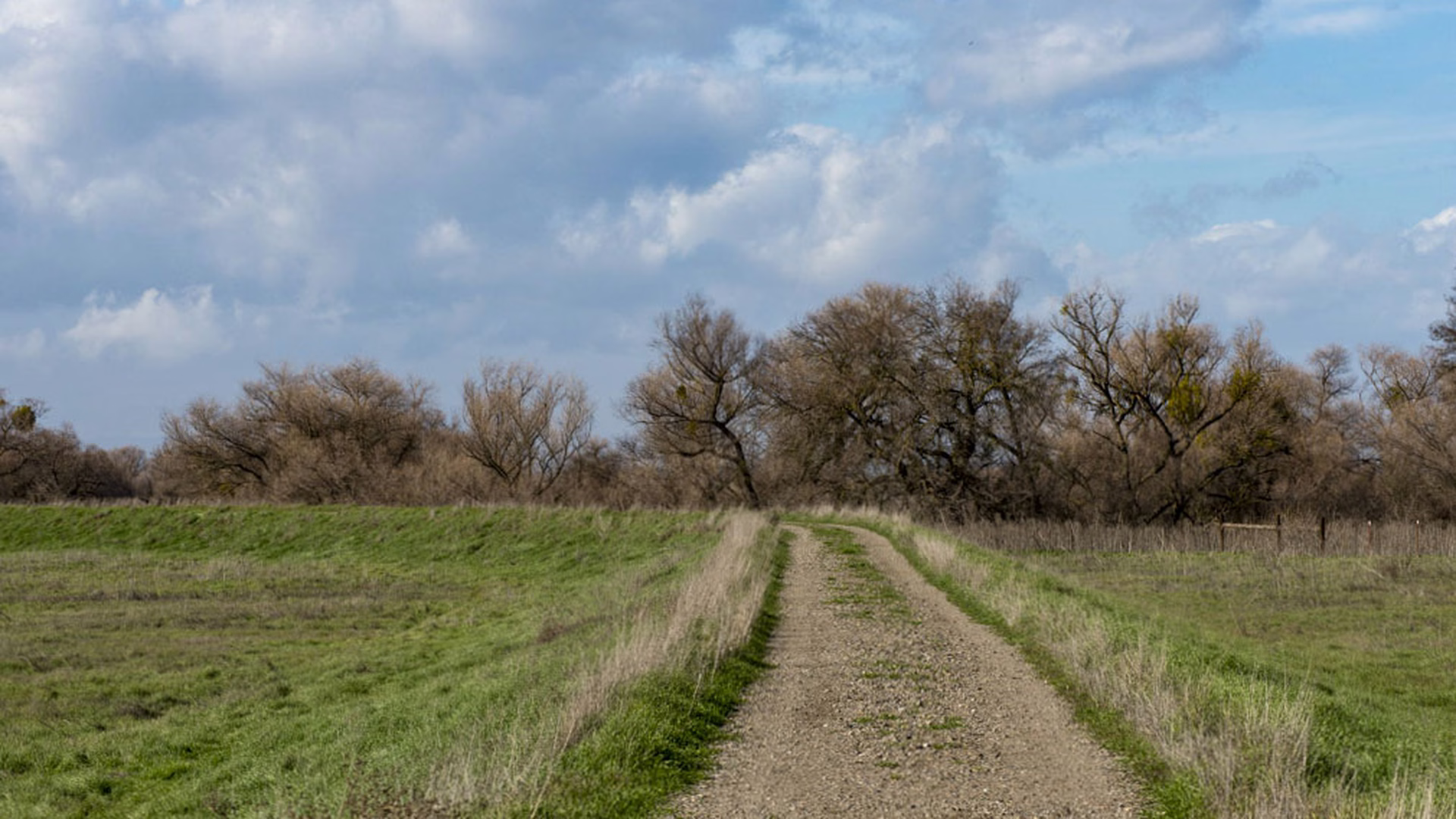 Great Valley Grasslands State Park — photo 1