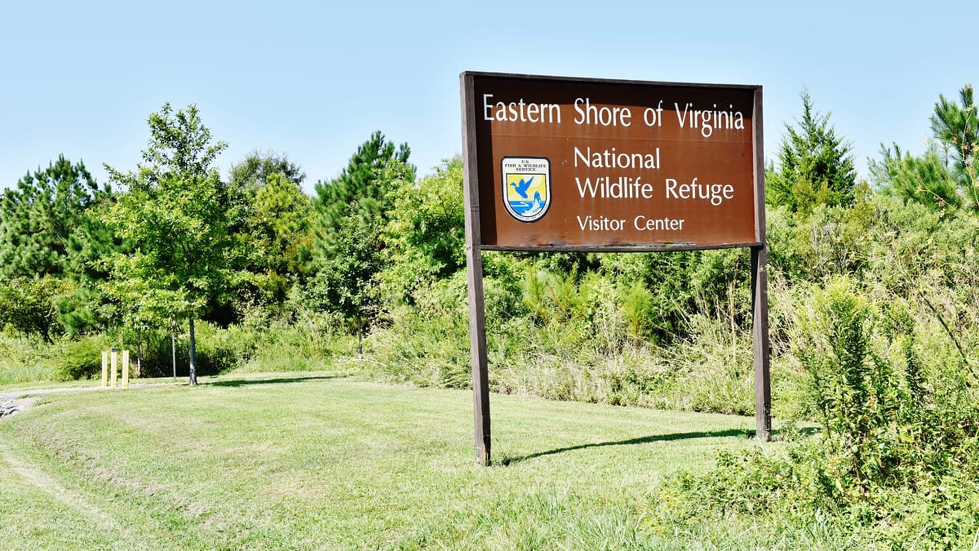 Eastern Shore of Virginia National Wildlife Refuge — photo 1