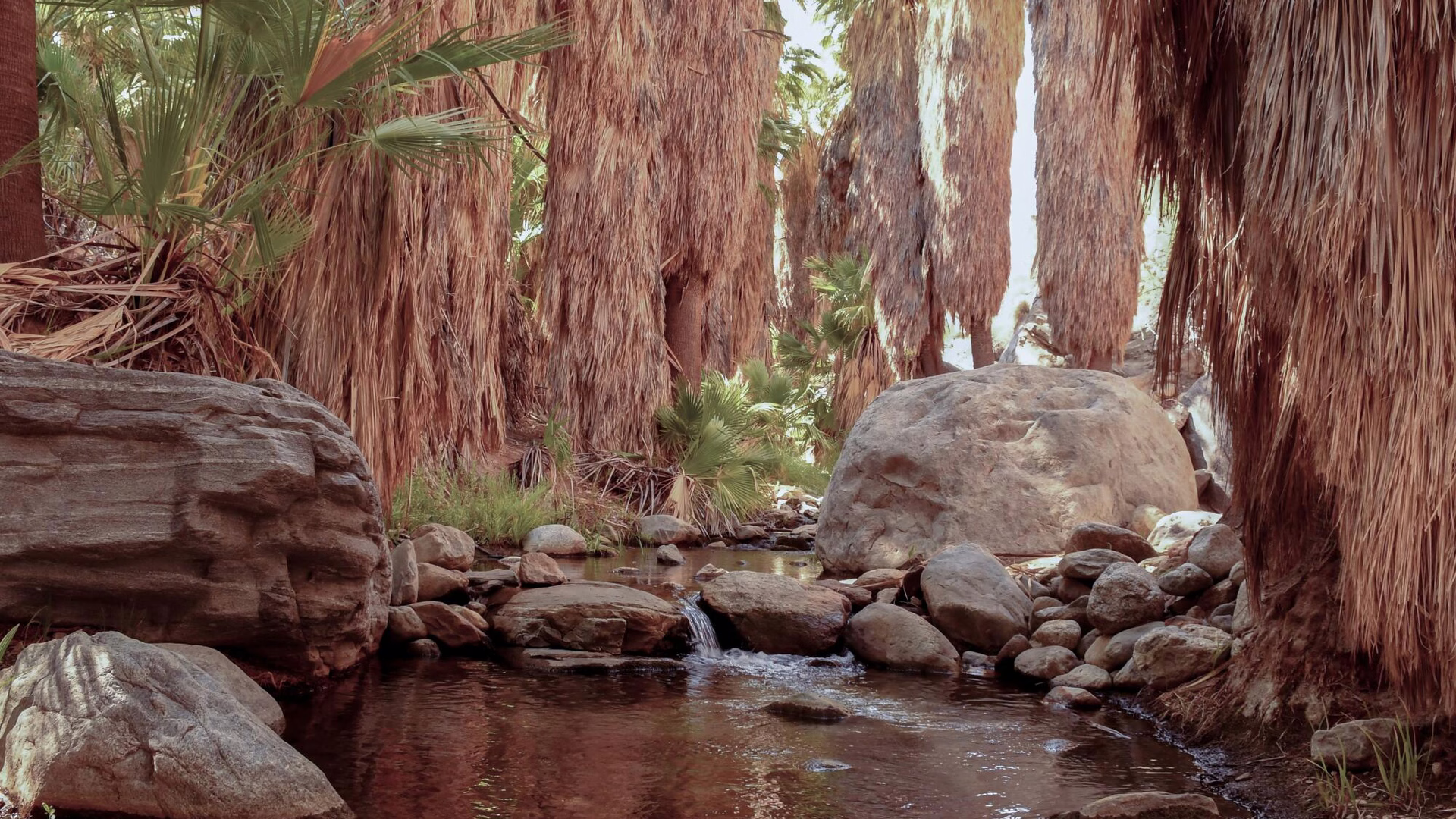 Tahquitz Canyon — photo 1