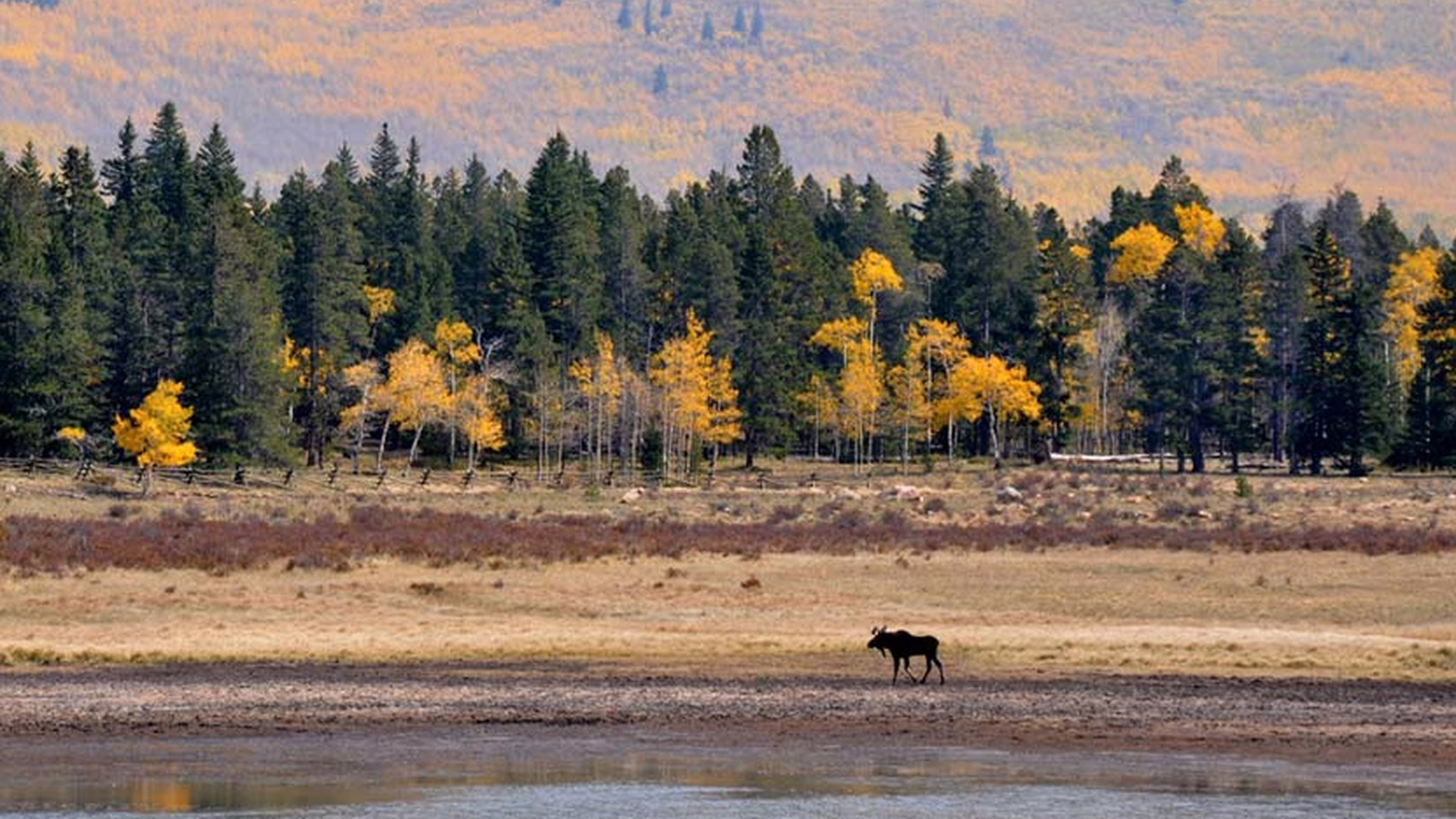Kenosha Pass (Scenic overlook) — photo 1