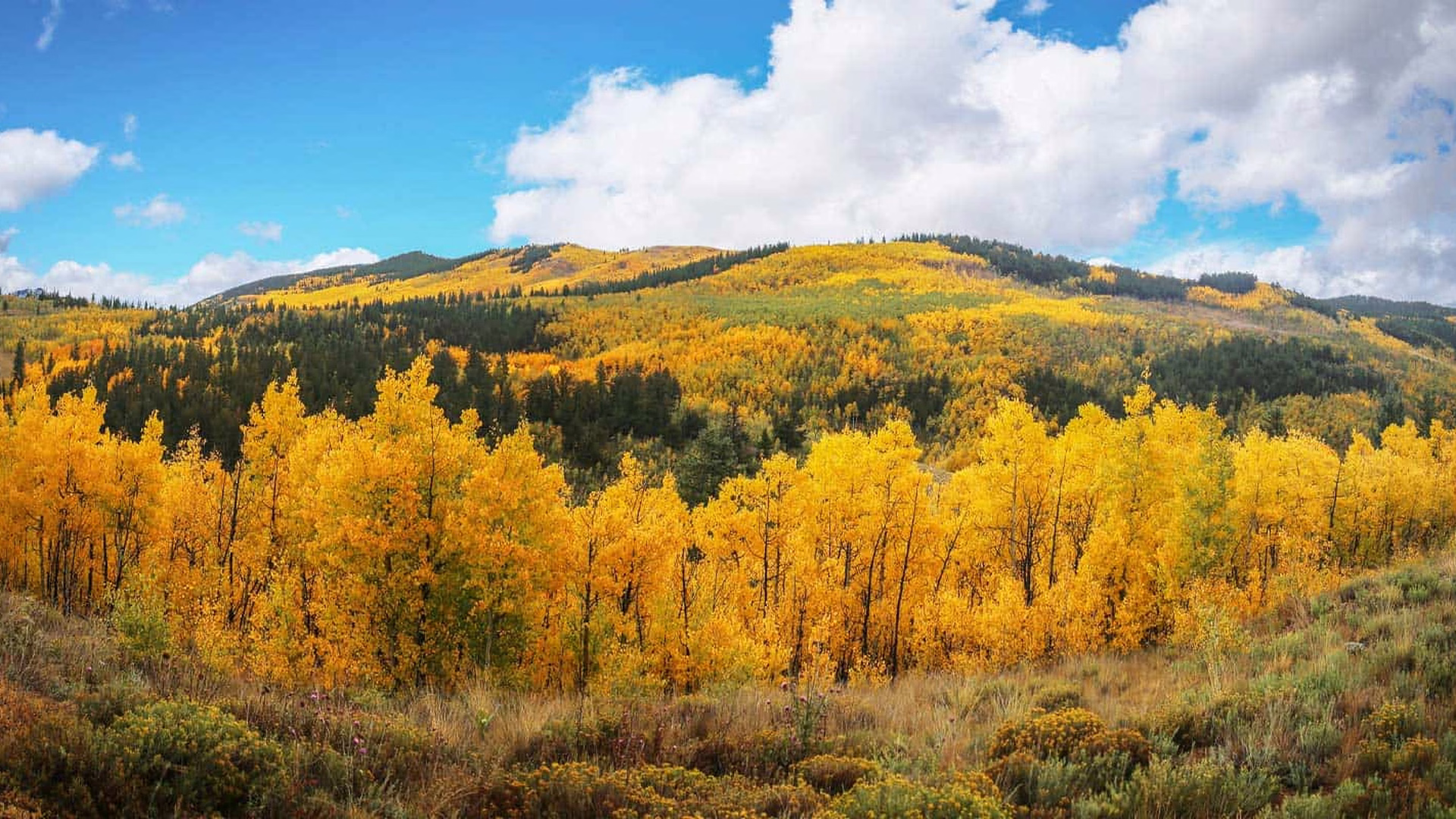 Kenosha Pass (Scenic overlook) — photo 2