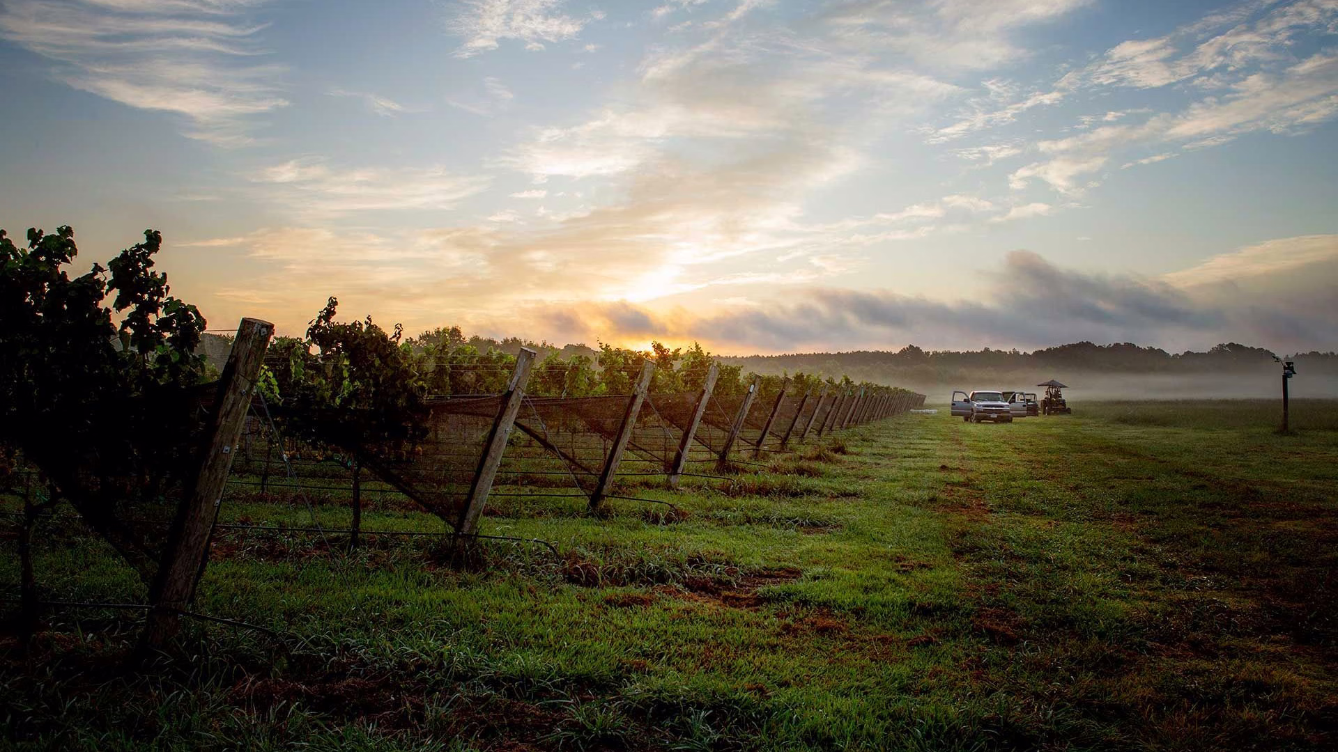 Williamsburg Winery — photo 1