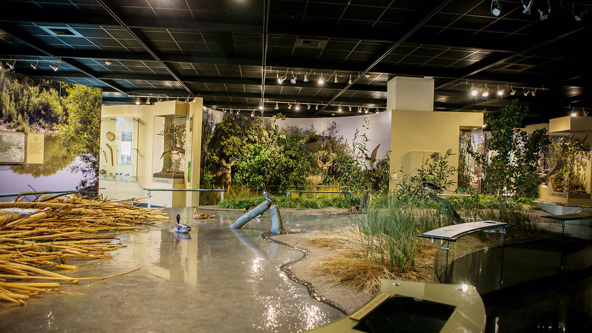 Great Valley Museum & Planetarium — photo 2