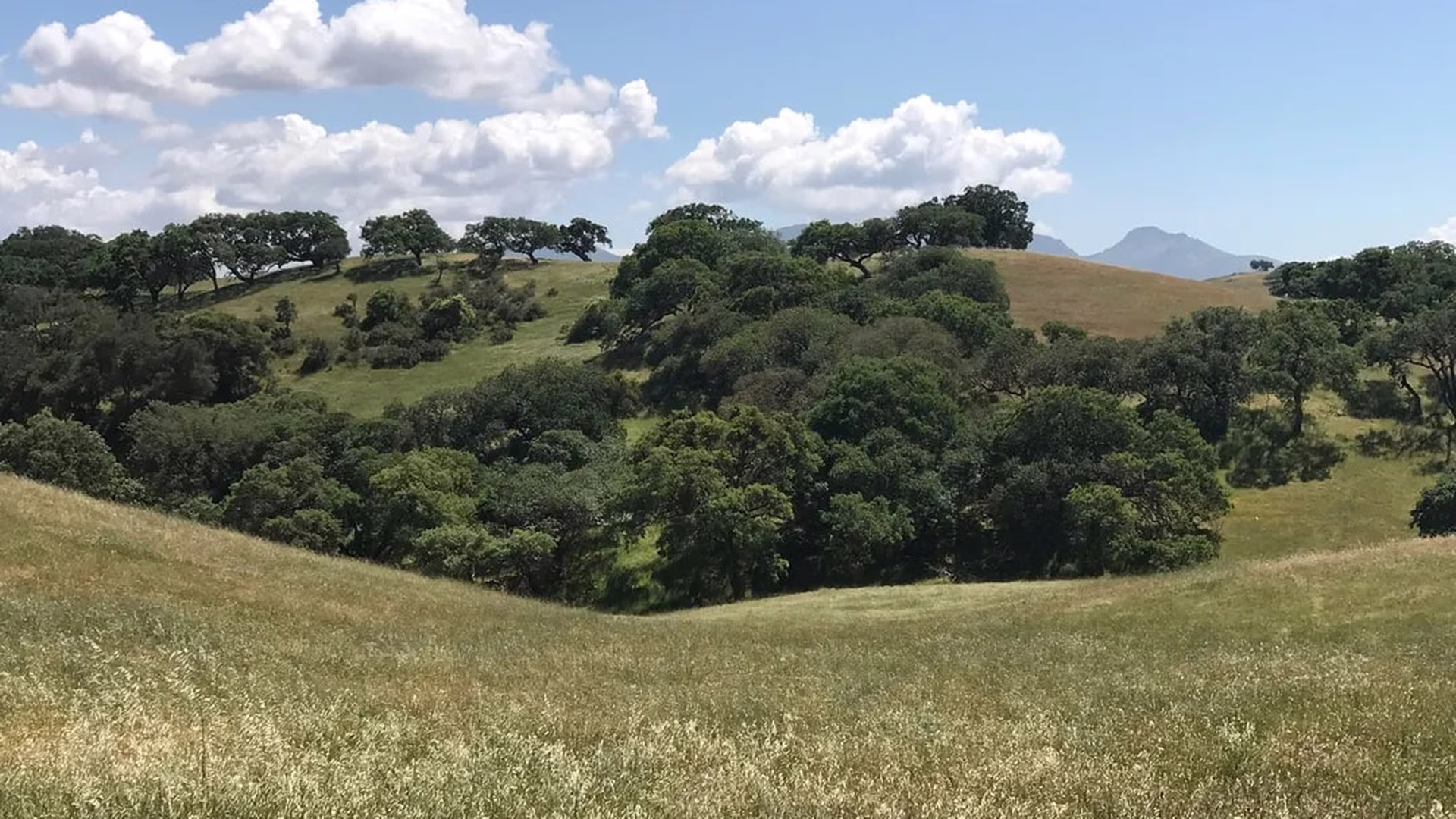 Pacheco State Park — photo 1