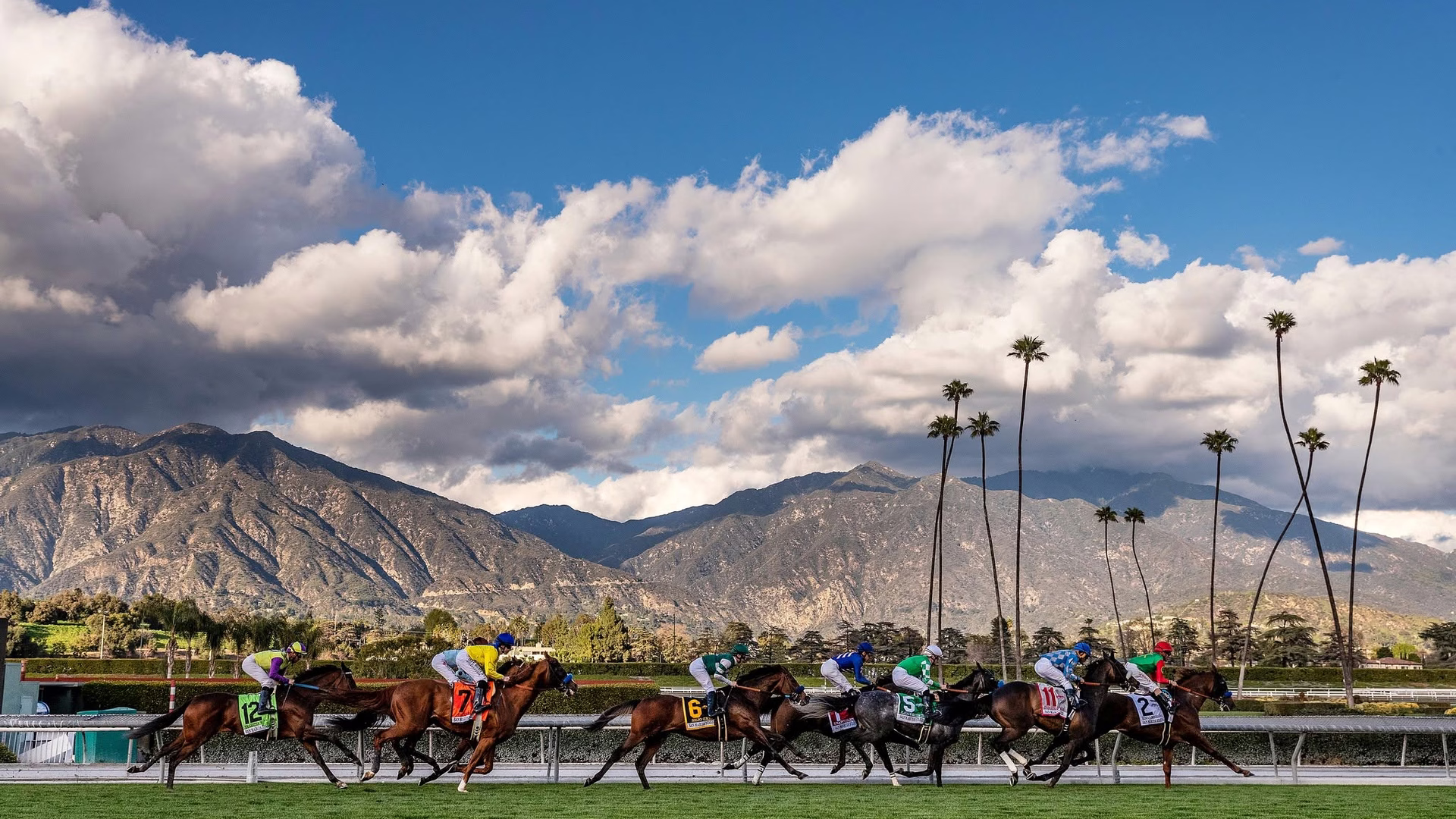 Santa Anita Park — photo 1