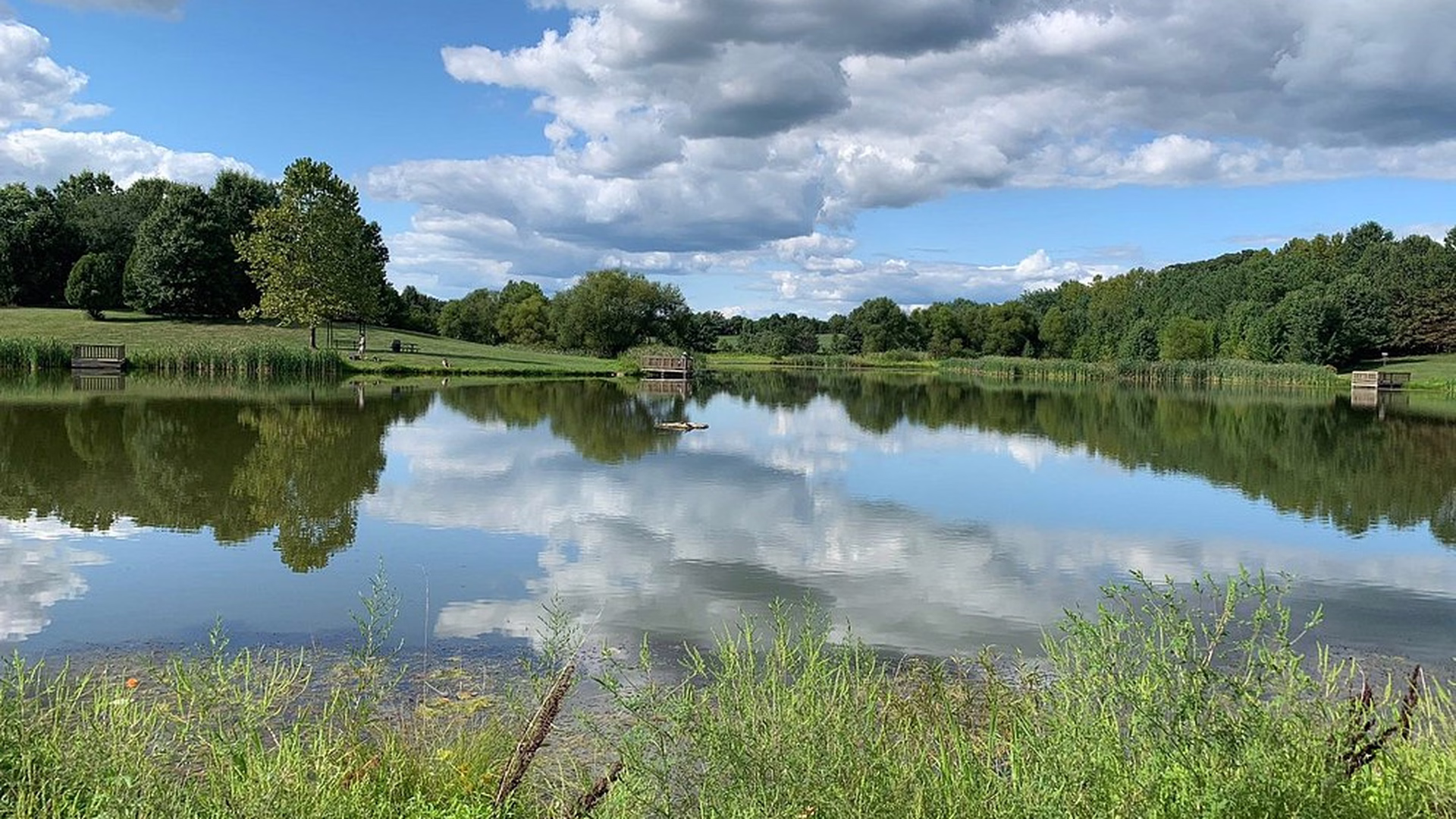 Franklin Park — photo 1