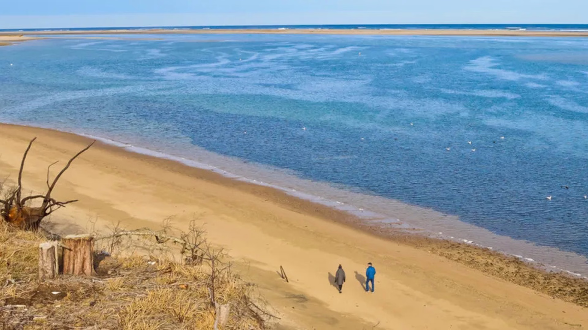 Monomoy National Wildlife Refuge (Morris Island) — photo 2