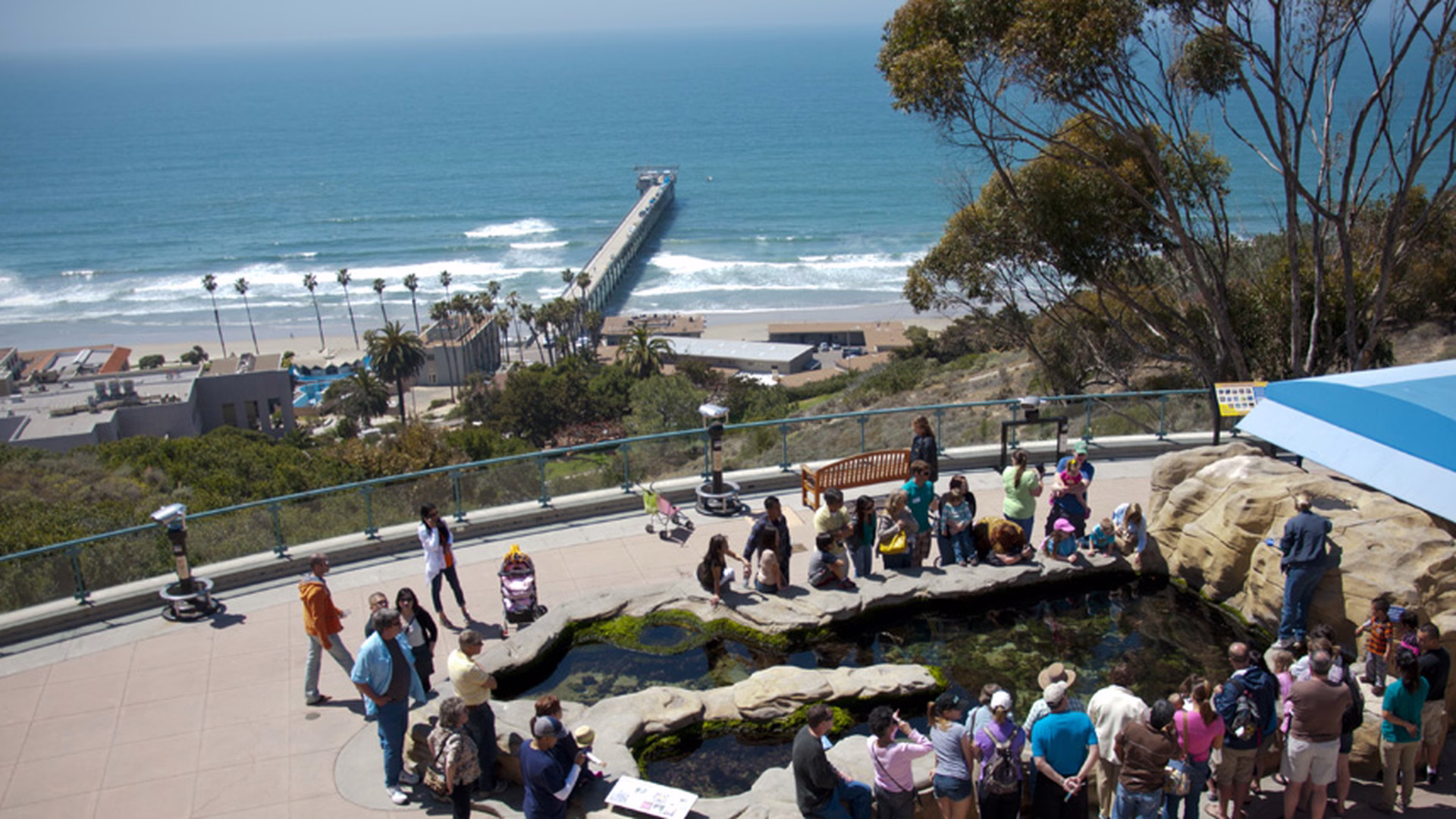 Birch Aquarium at Scripps — photo 2