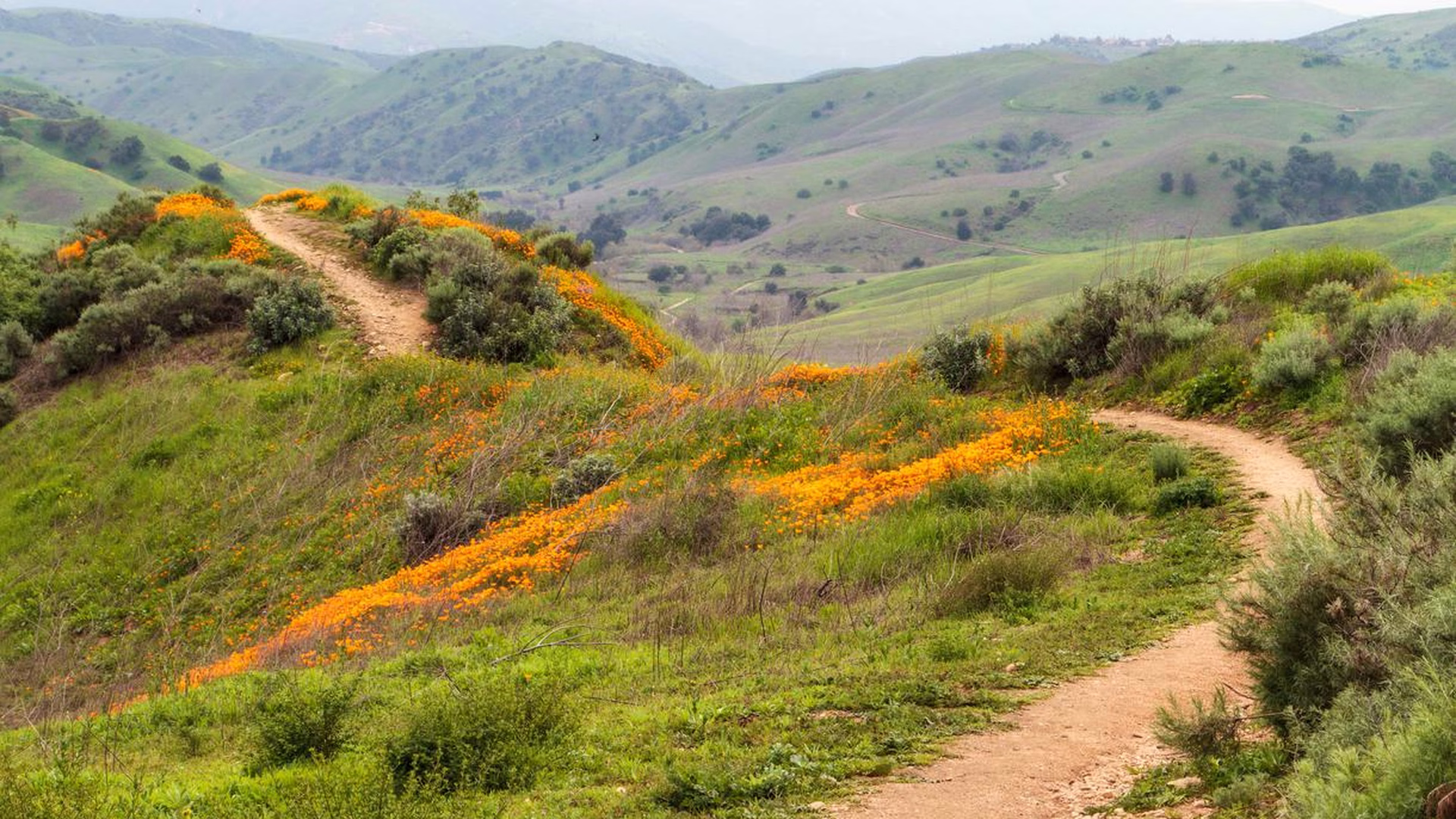 Chino Hills State Park — photo 2