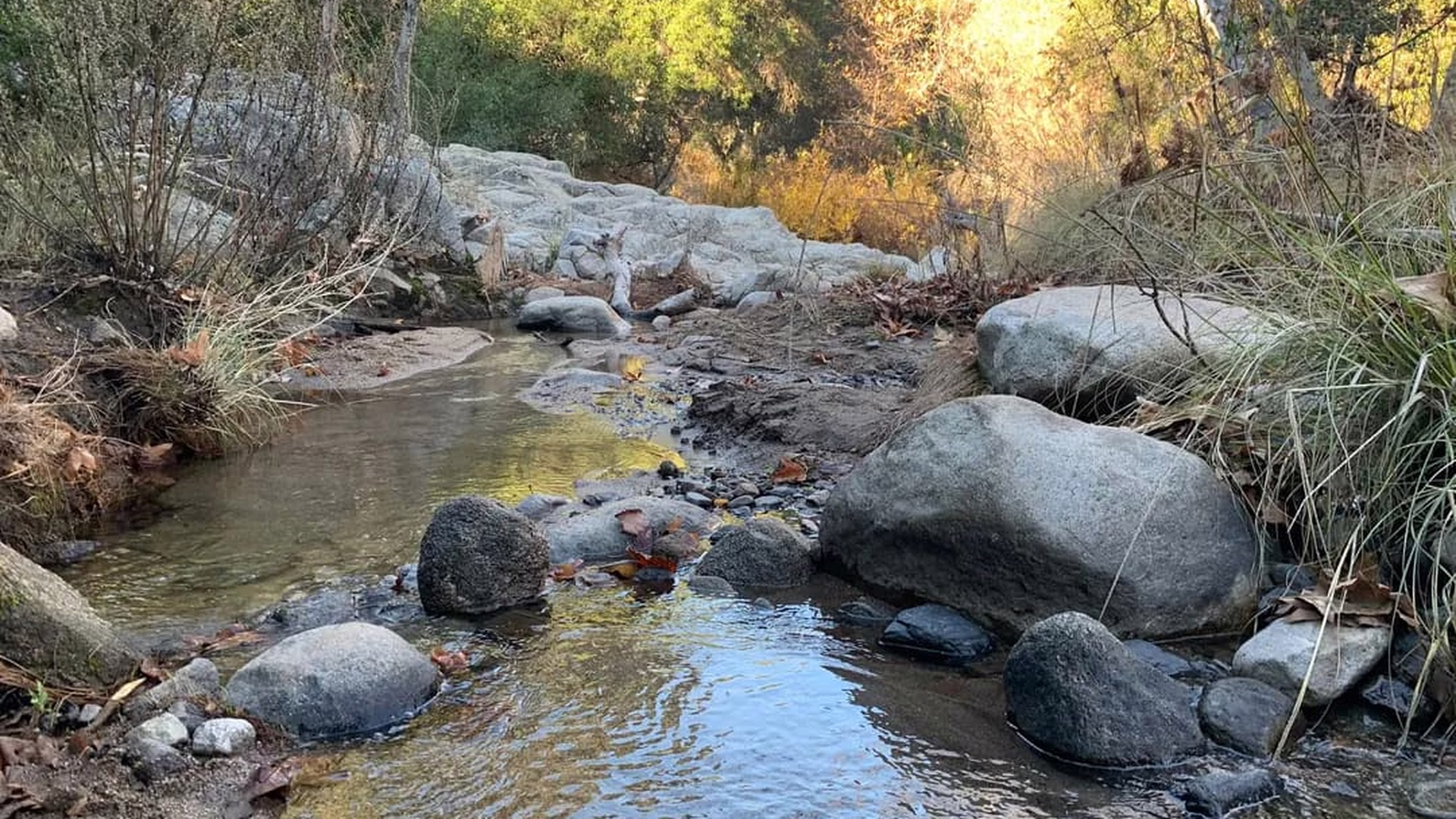 San Juan Loop Trail — photo 2