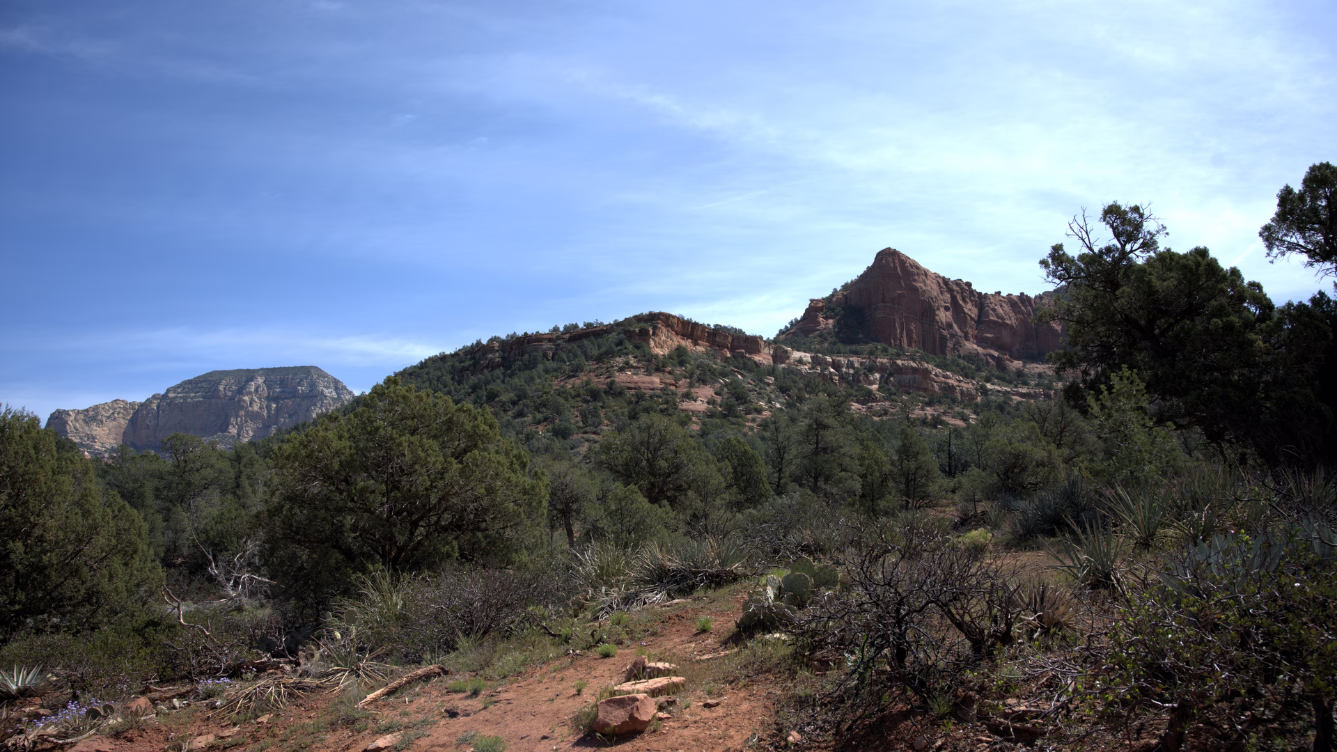 Pink Jeep Tours – Sedona — photo 1