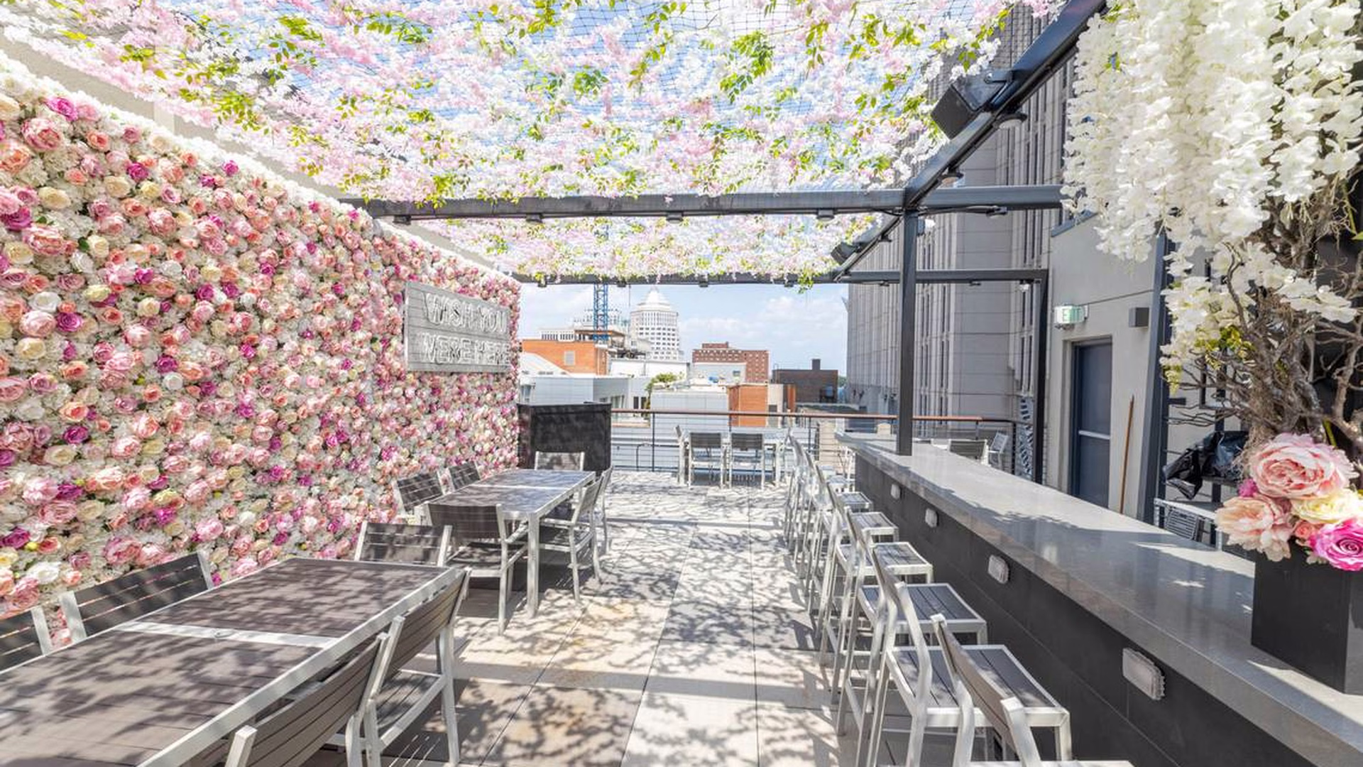 Novelty House Rooftop — photo 1