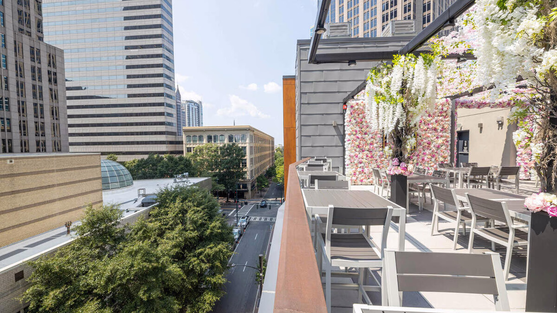 Novelty House Rooftop — photo 2