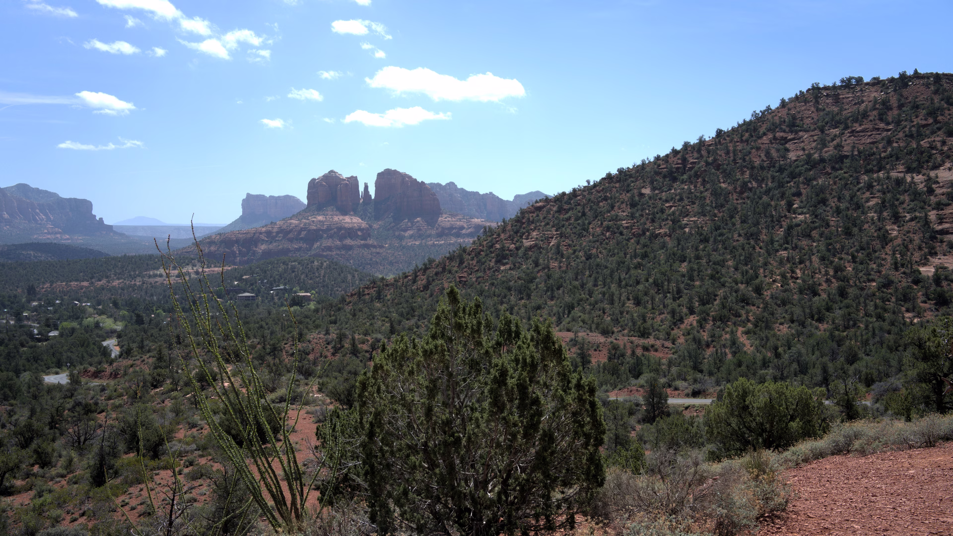 Doe Mountain Trail — photo 1