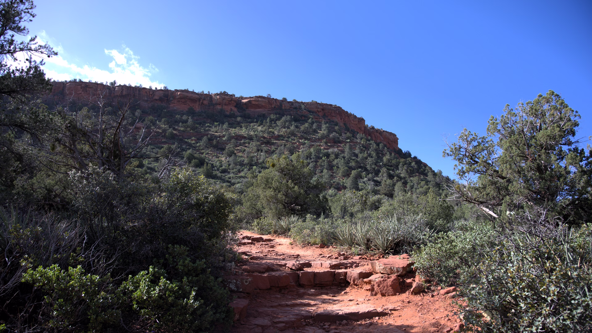 Doe Mountain Trail — photo 3