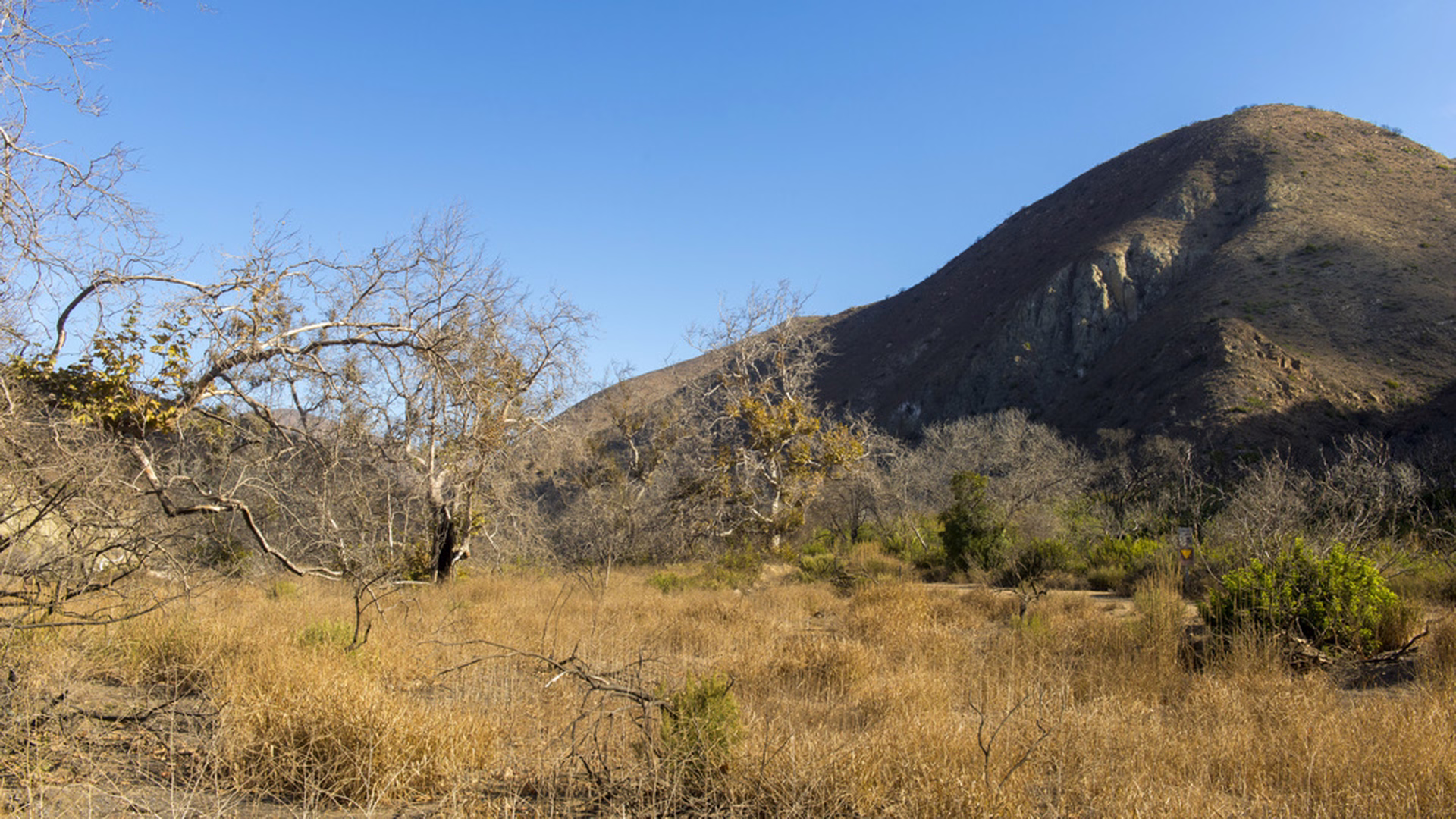 Point Mugu State Park — photo 2