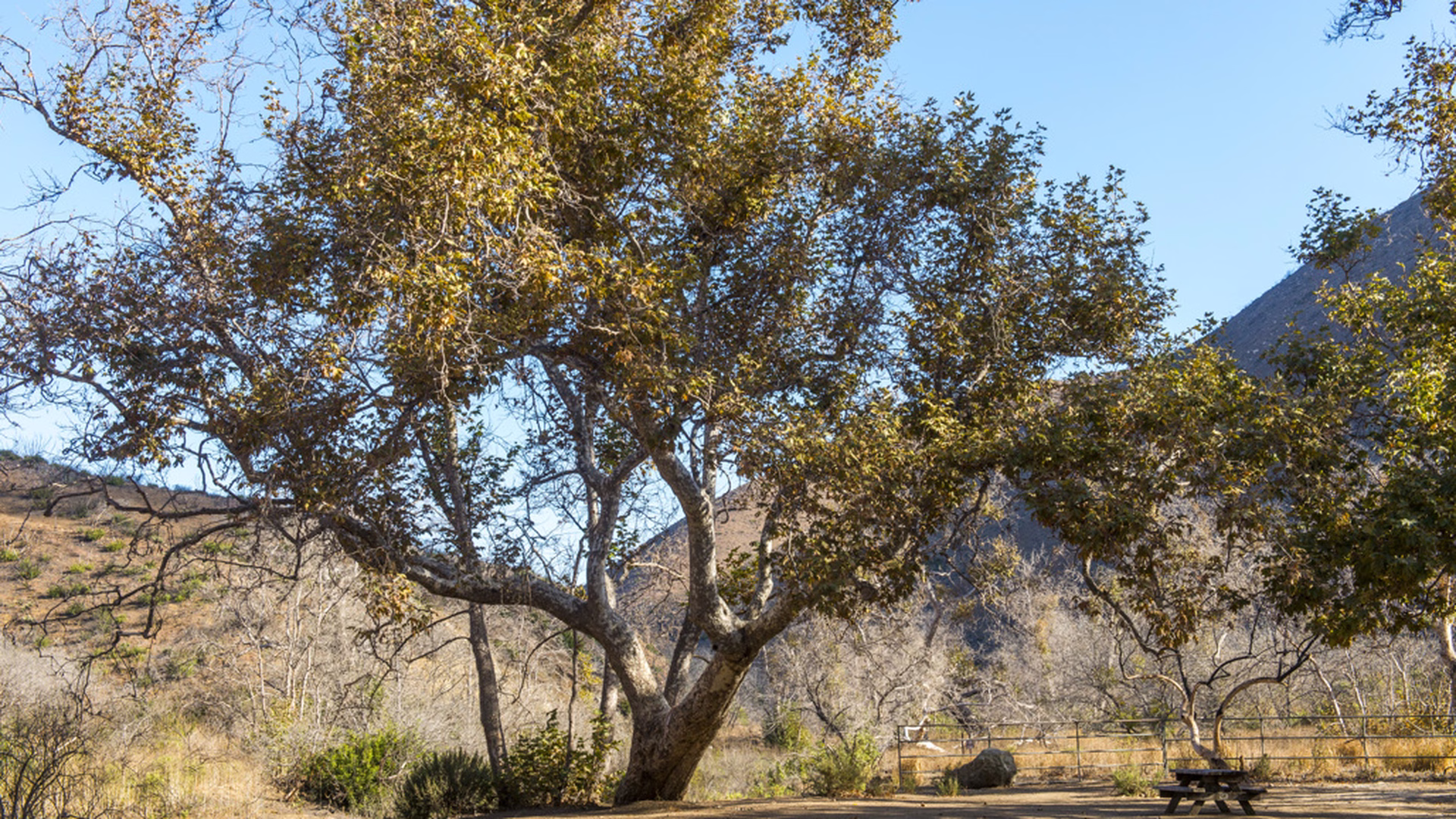 Point Mugu State Park — photo 1