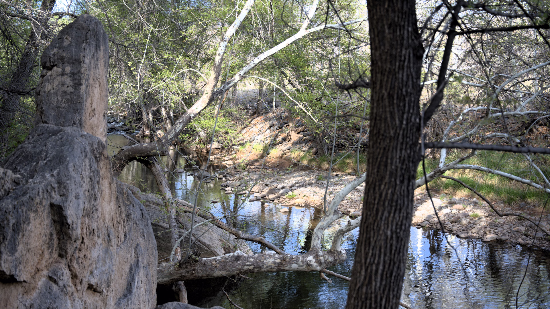 Montezuma Well — photo 2