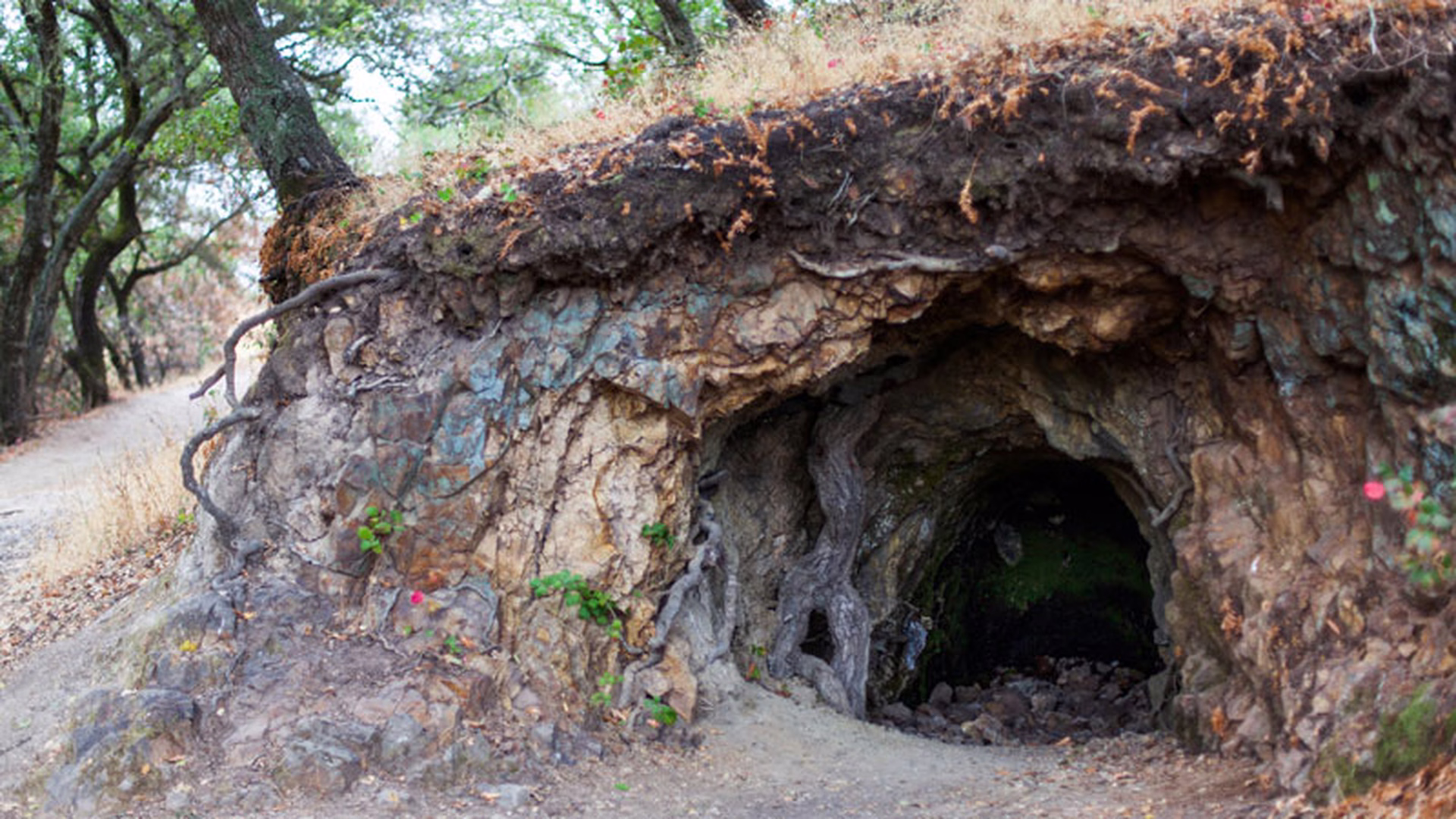 Skyline Wilderness Park — photo 1