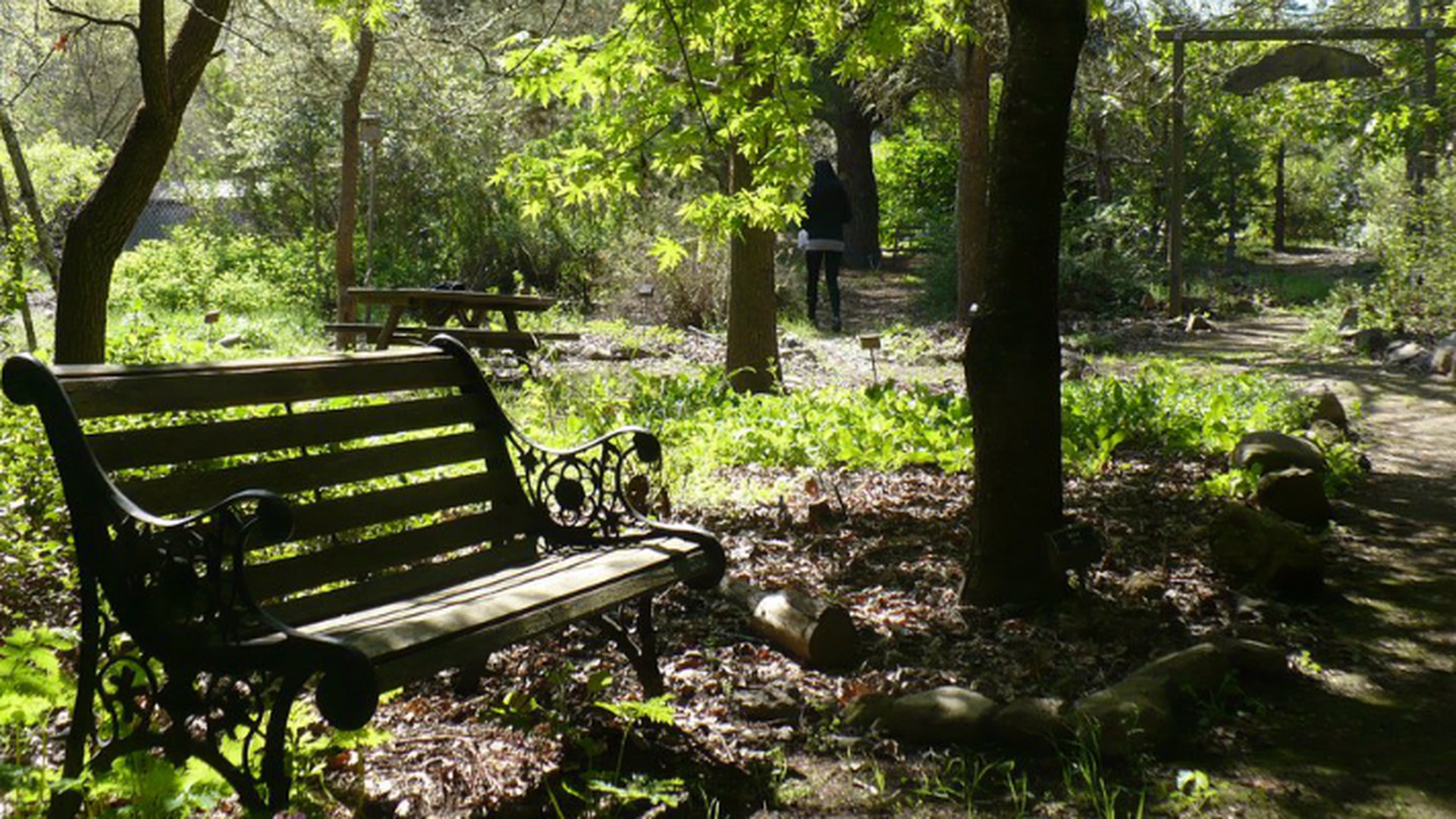 Skyline Wilderness Park — photo 2