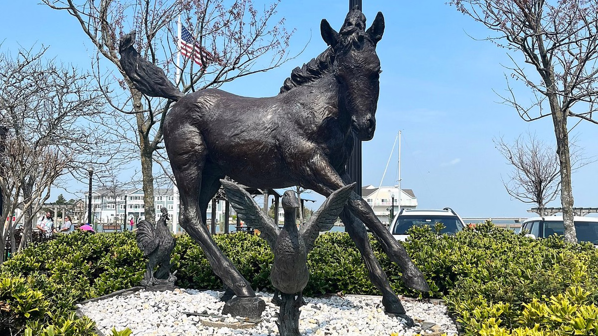 Robert Reed Waterfront Park — photo 1