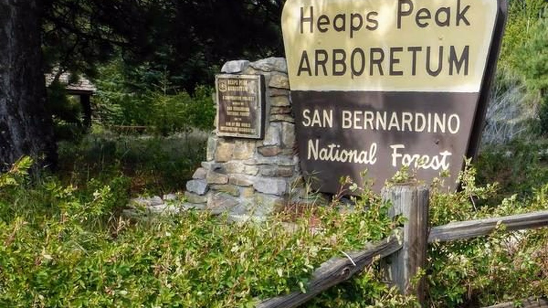 Heaps Peak Arboretum — photo 1