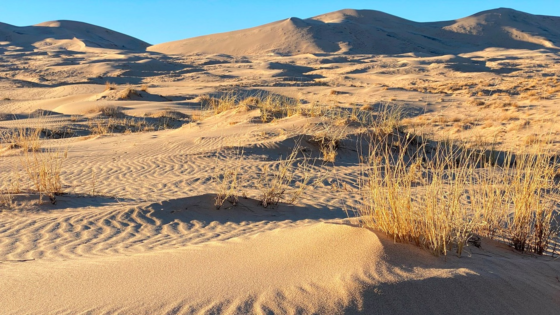 Kelso Dunes — photo 2