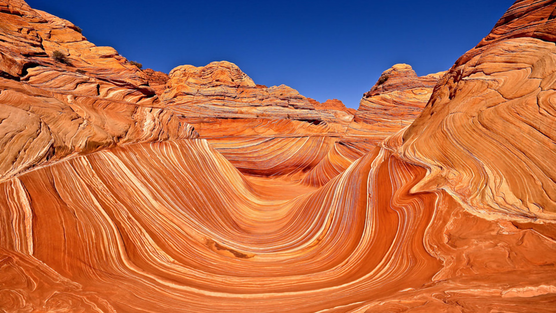The Wave – Coyote Buttes North — photo 1