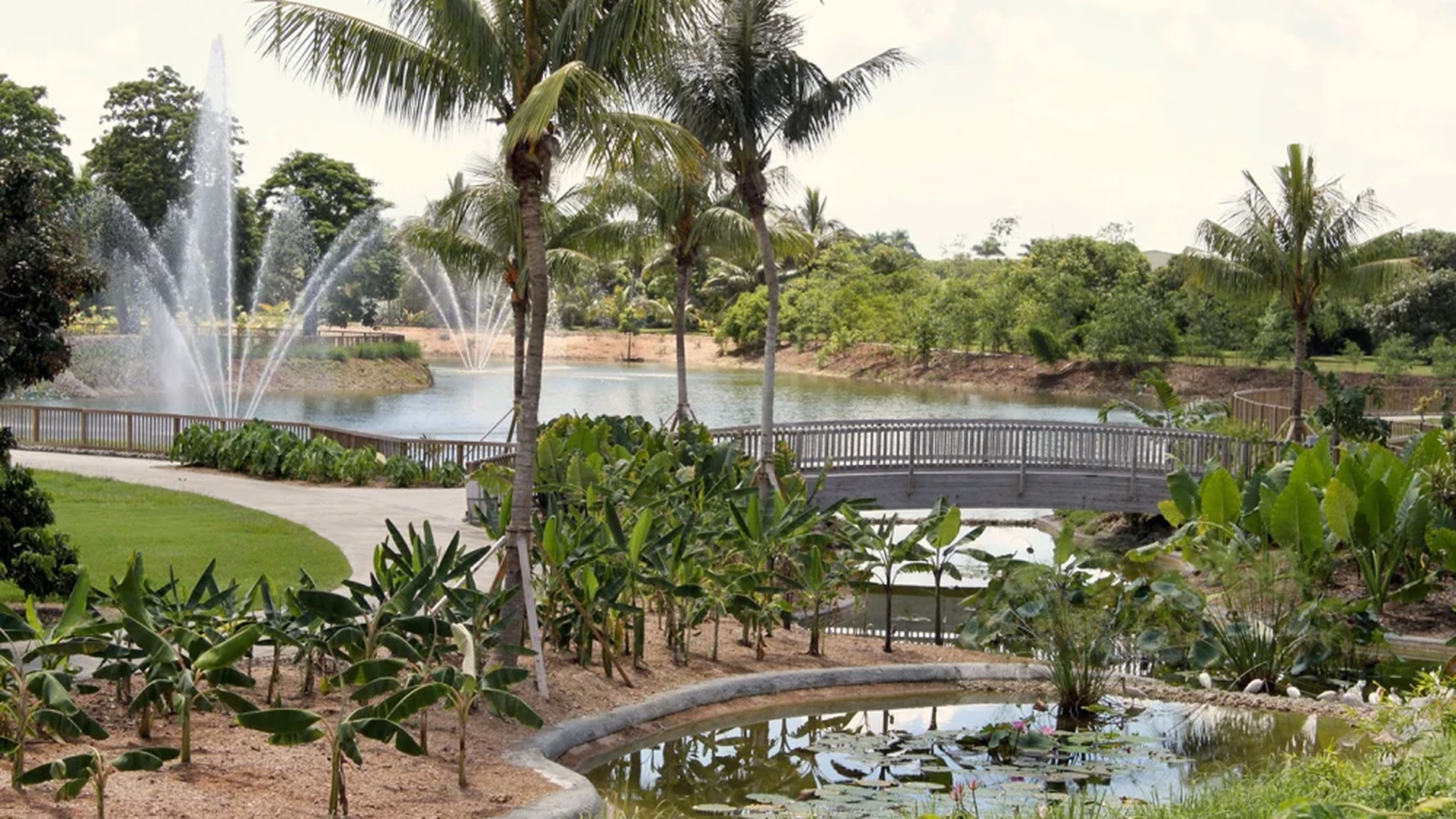 Fruit & Spice Park — photo 1