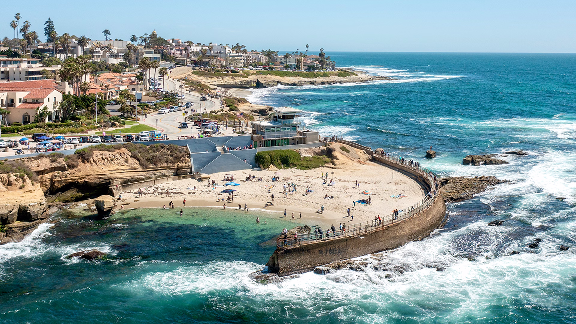 Children's Pool La Jolla — photo 1
