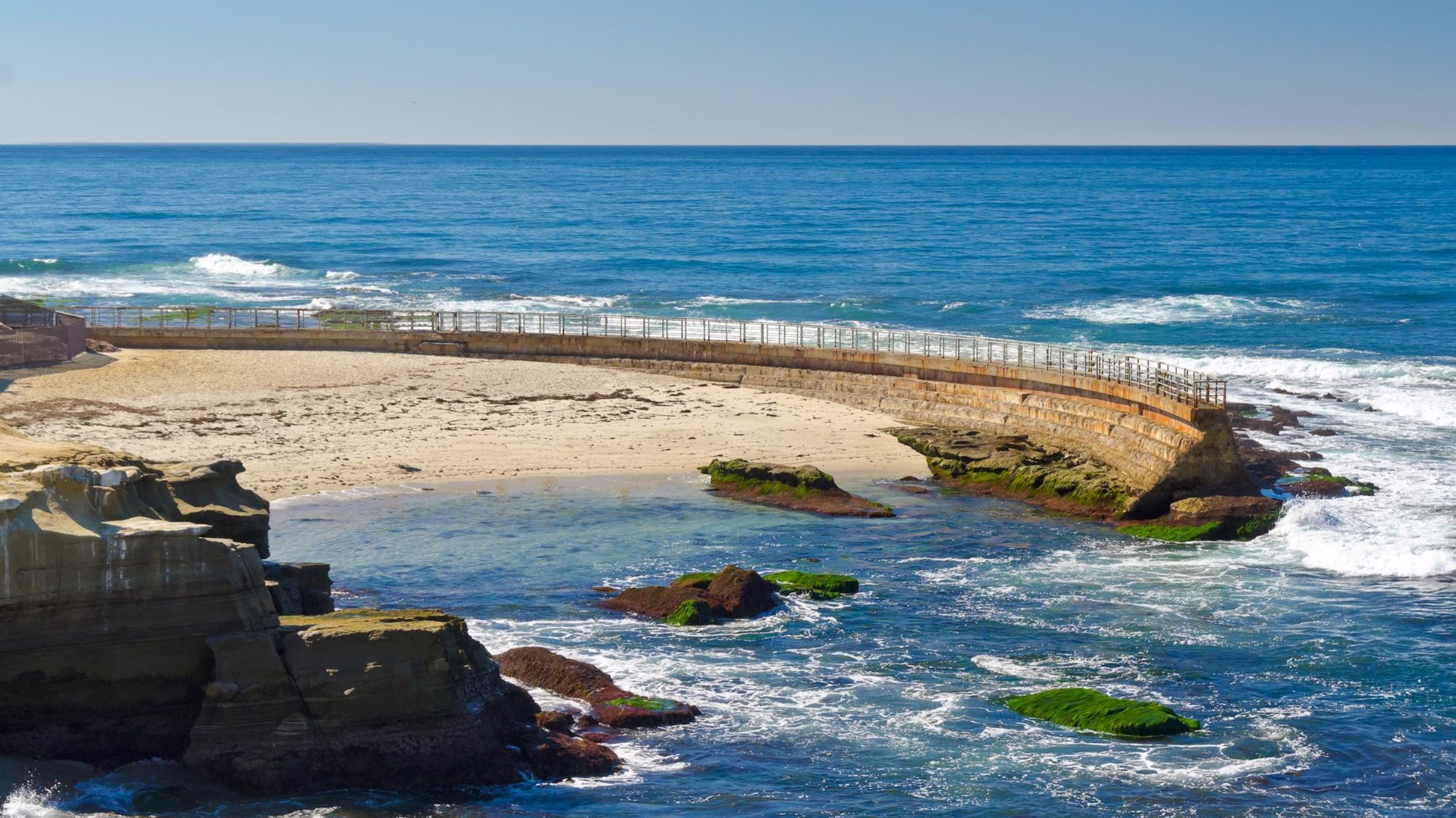 Children's Pool La Jolla — photo 2