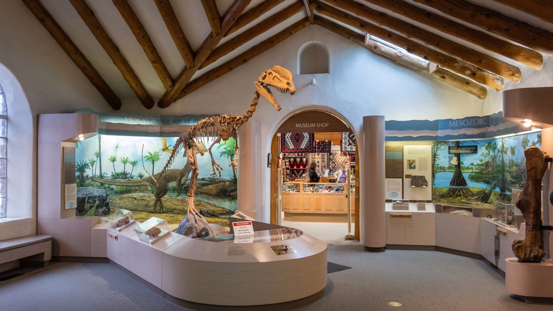 Museum of Northern Arizona — photo 1