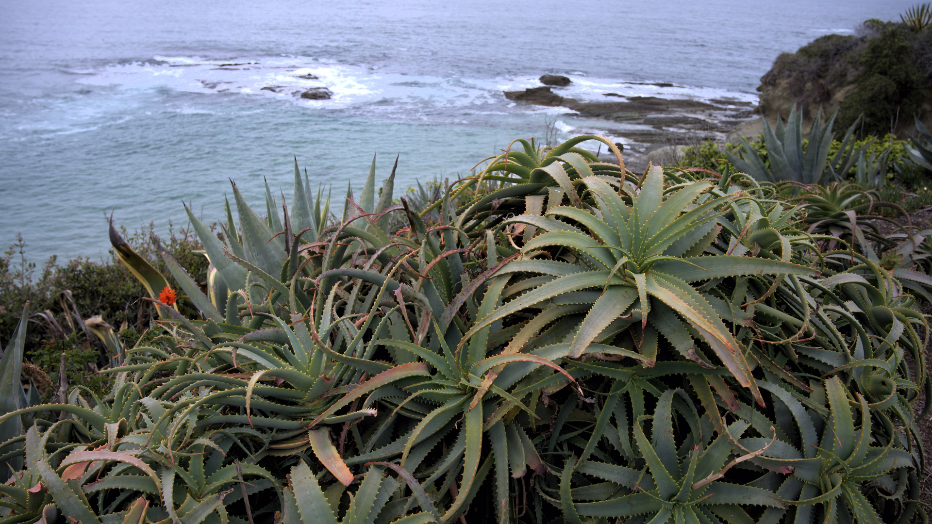 Montage Laguna Beach Bluff Walk — photo 2