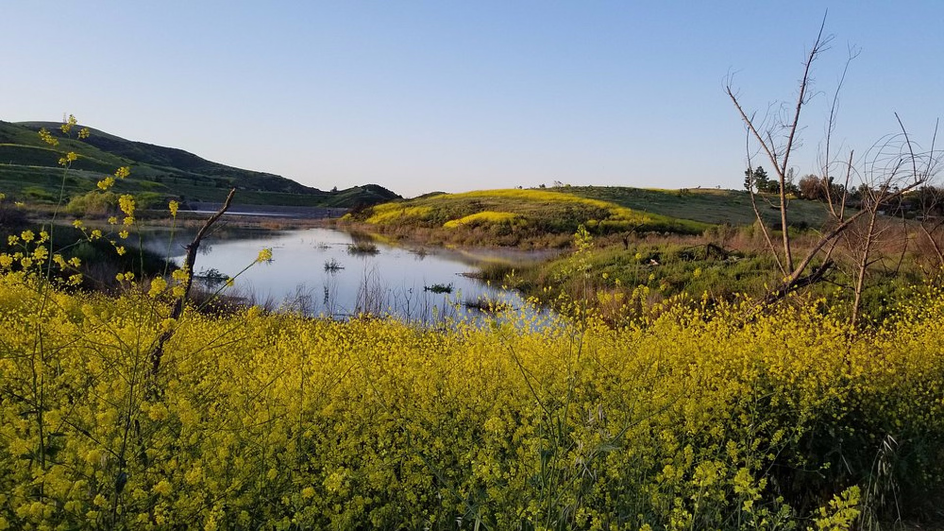 Peters Canyon Regional Park — photo 1