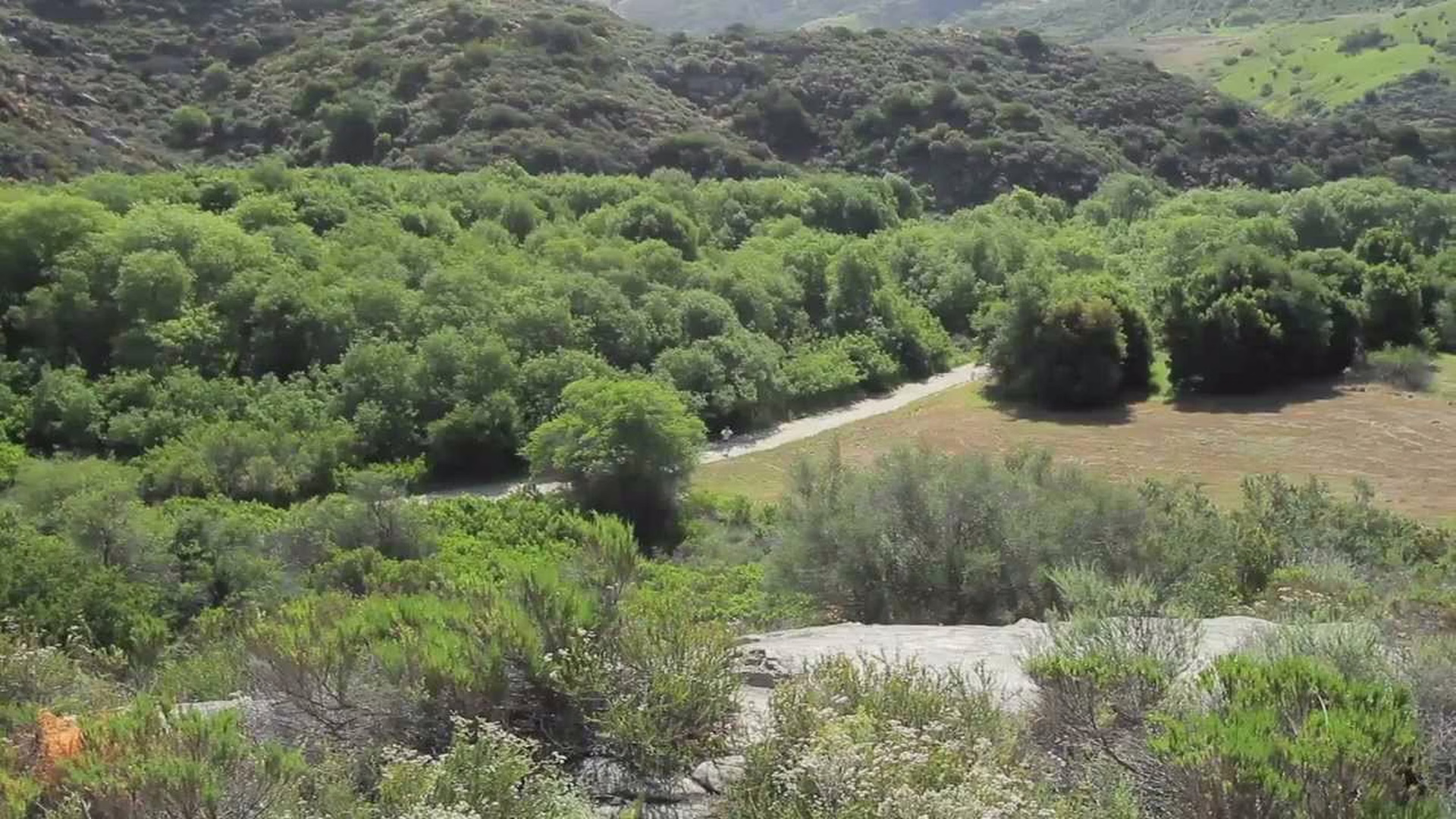 Aliso and Wood Canyons Wilderness Park — photo 2