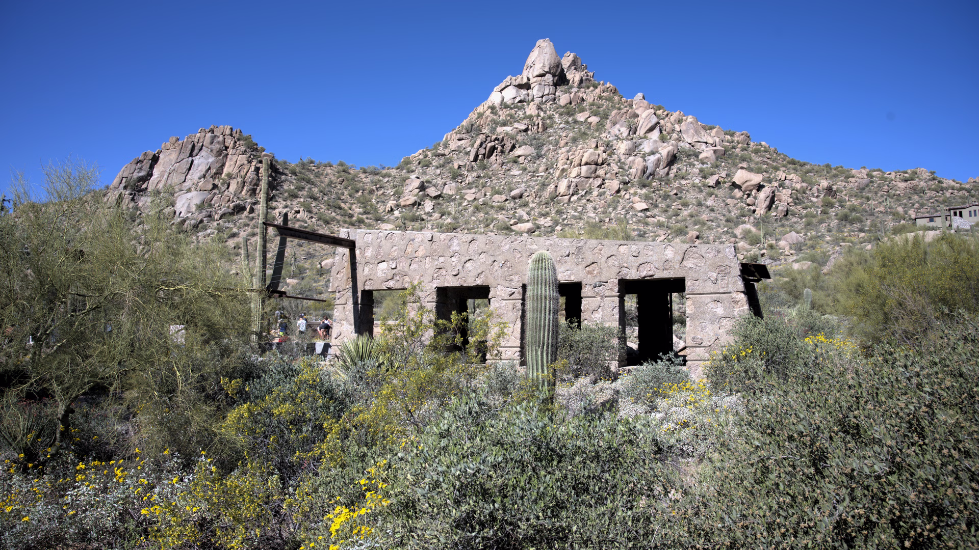 Pinnacle Peak Park — photo 4