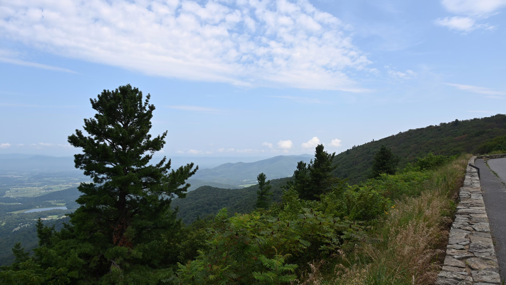Skyline Drive — photo 2