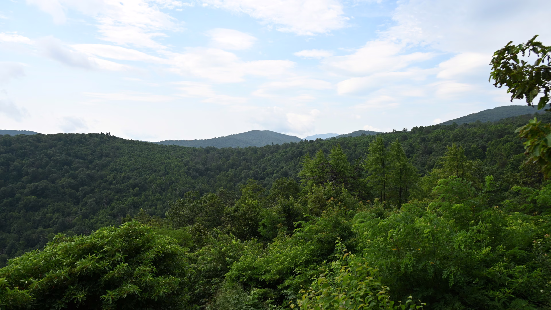 Skyline Drive — photo 1