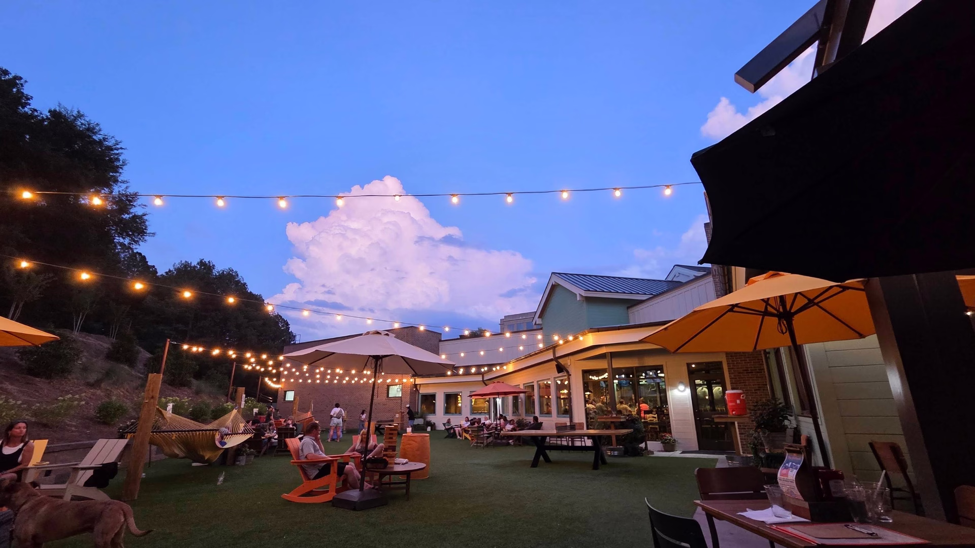 Crooked Hammock Brewery (Raleigh) — photo 1