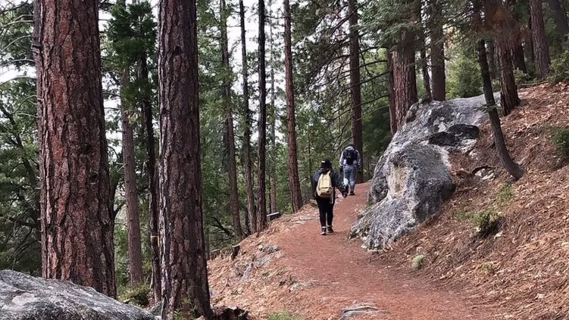 Idyllwild Nature Center — photo 2