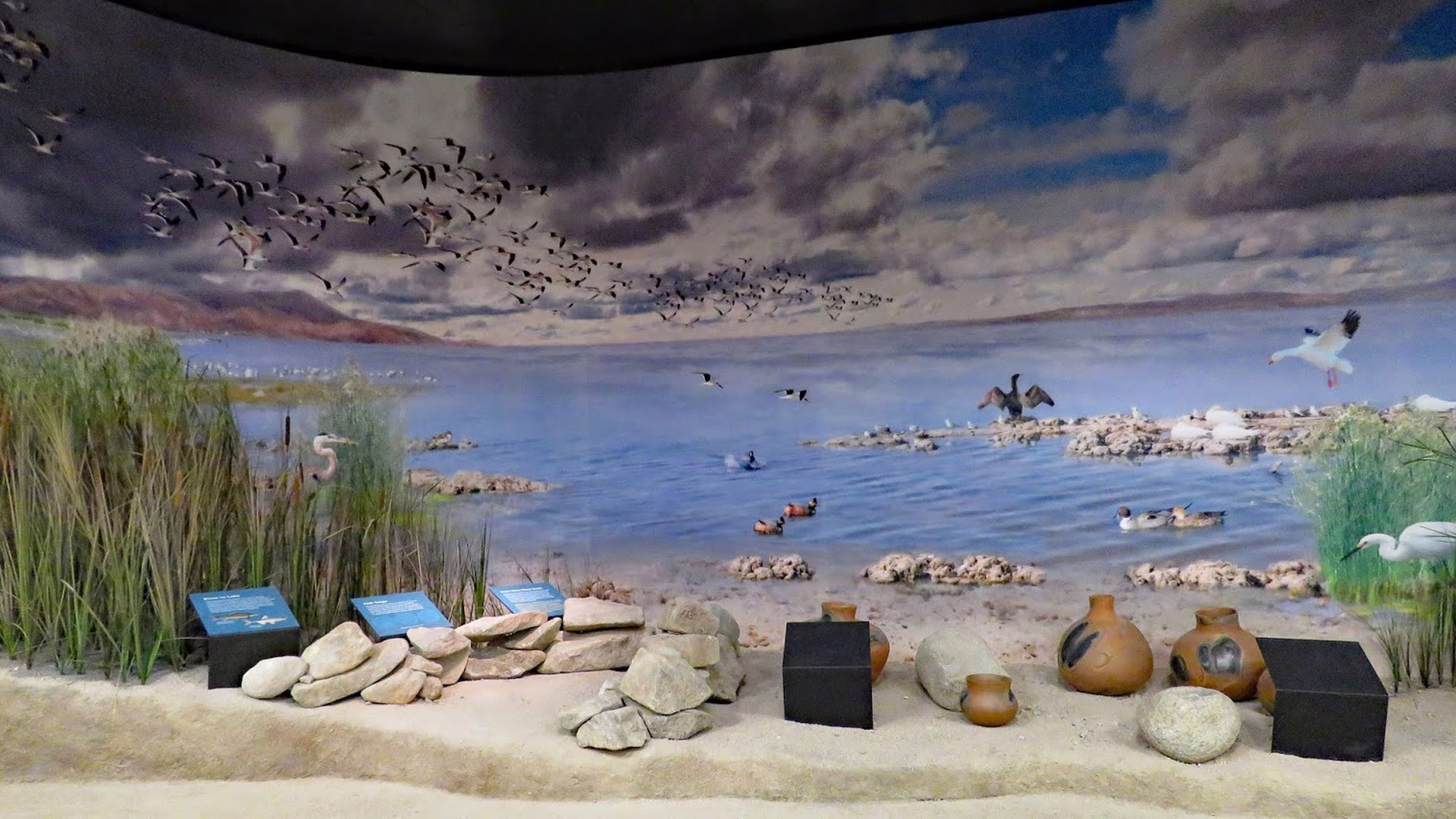 Imperial Valley Desert Museum — photo 2