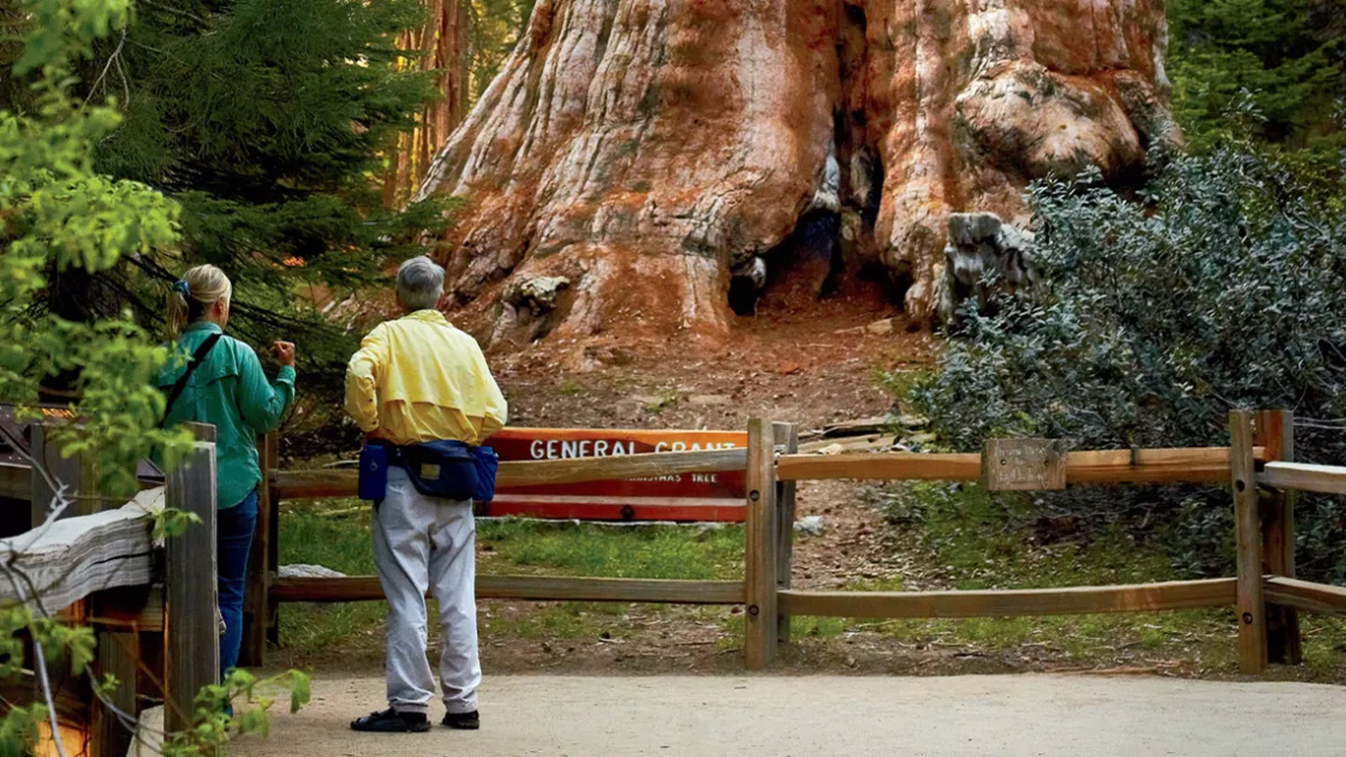 General Sherman Tree — photo 2